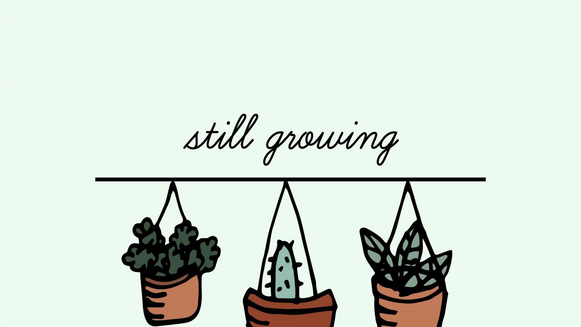Minimalist Plant Laptop Wallpapers - Top Free Minimalist Plant Laptop