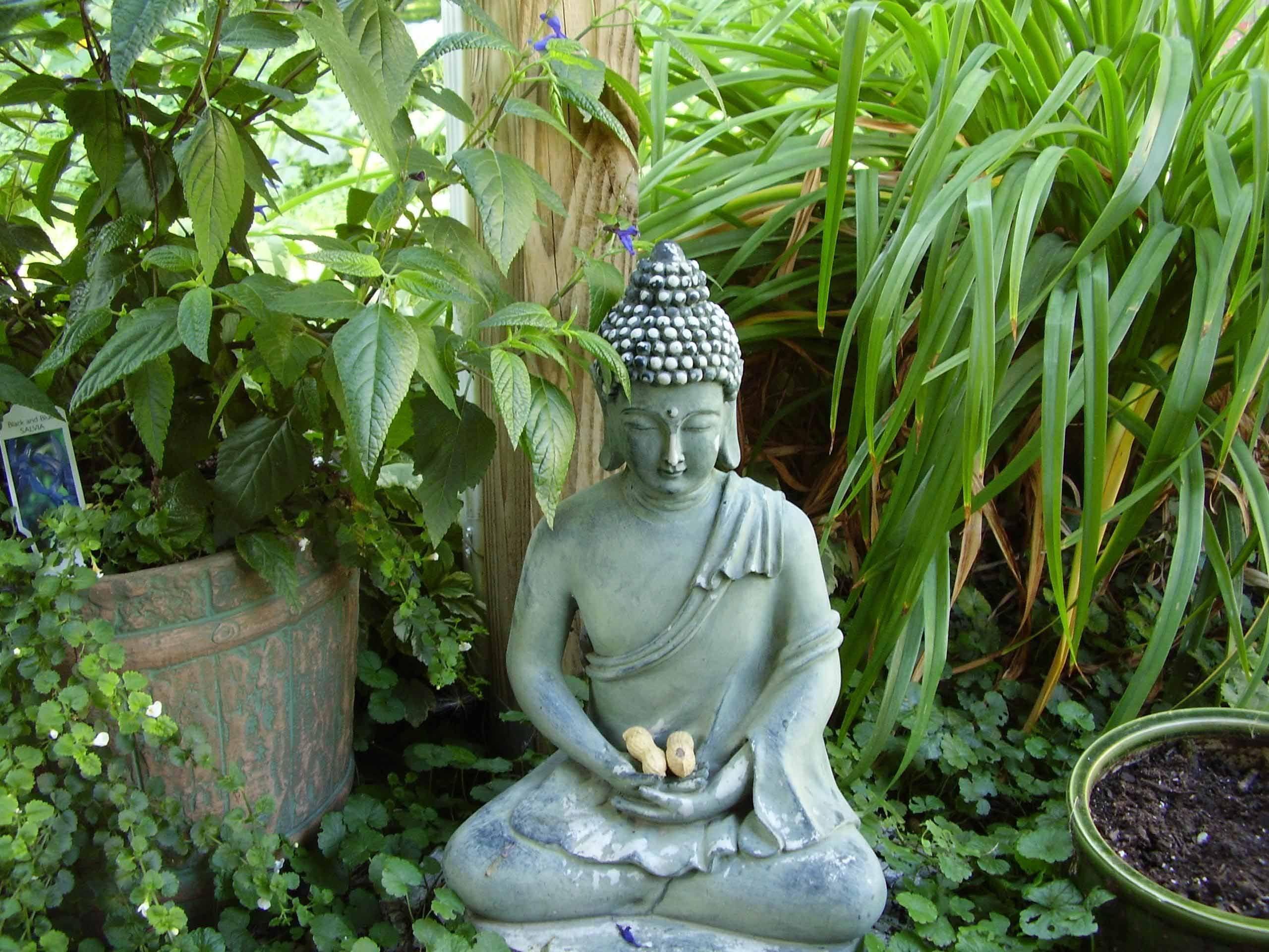 2560x1920 zen, Mood, Bokeh, Garden, Buddhism, Religion Wallpaper HD / Desktop and Mobile Background