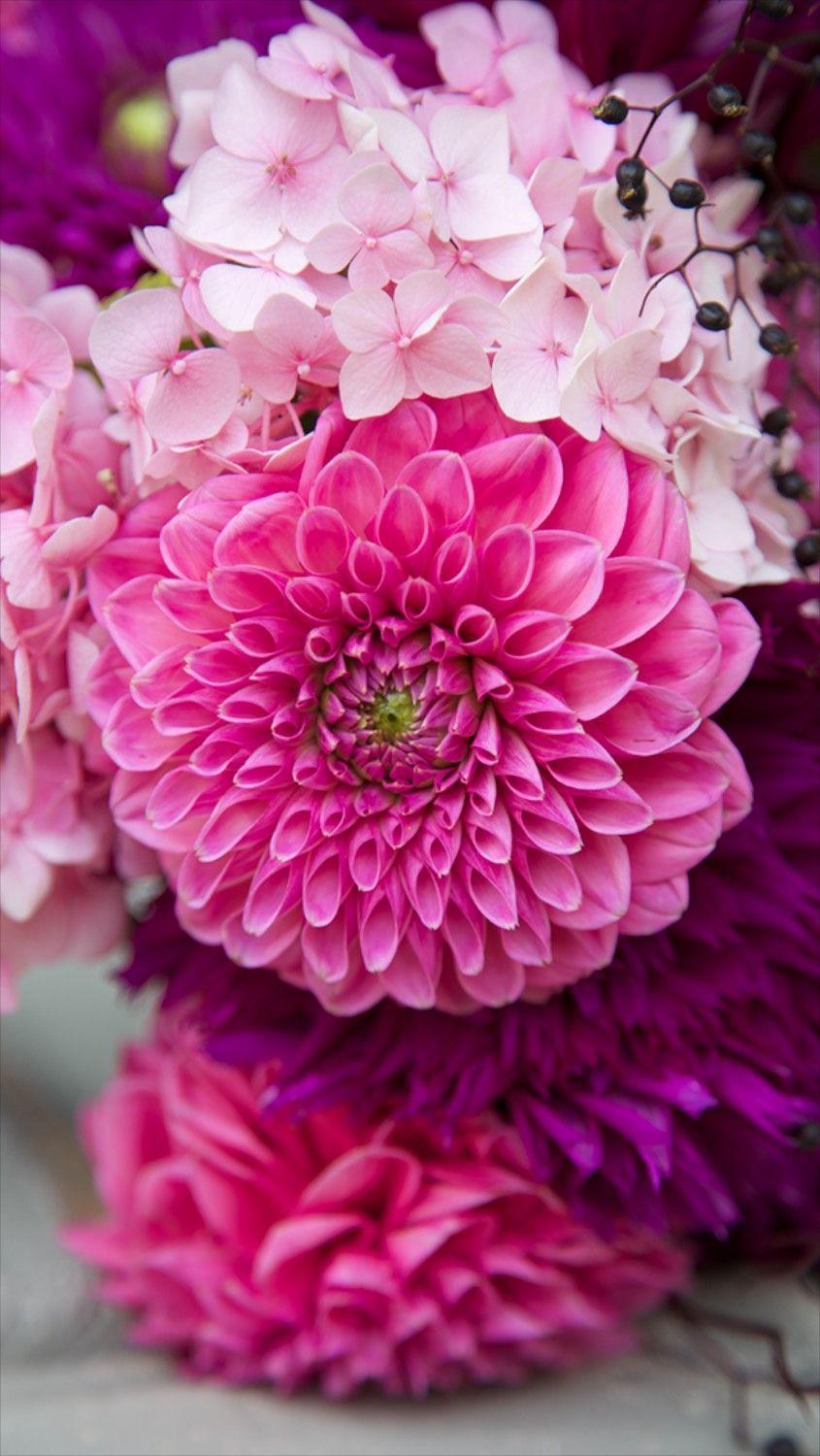 845x1500 Free Floral Phone Wallpaper • Summer Collection • Capture