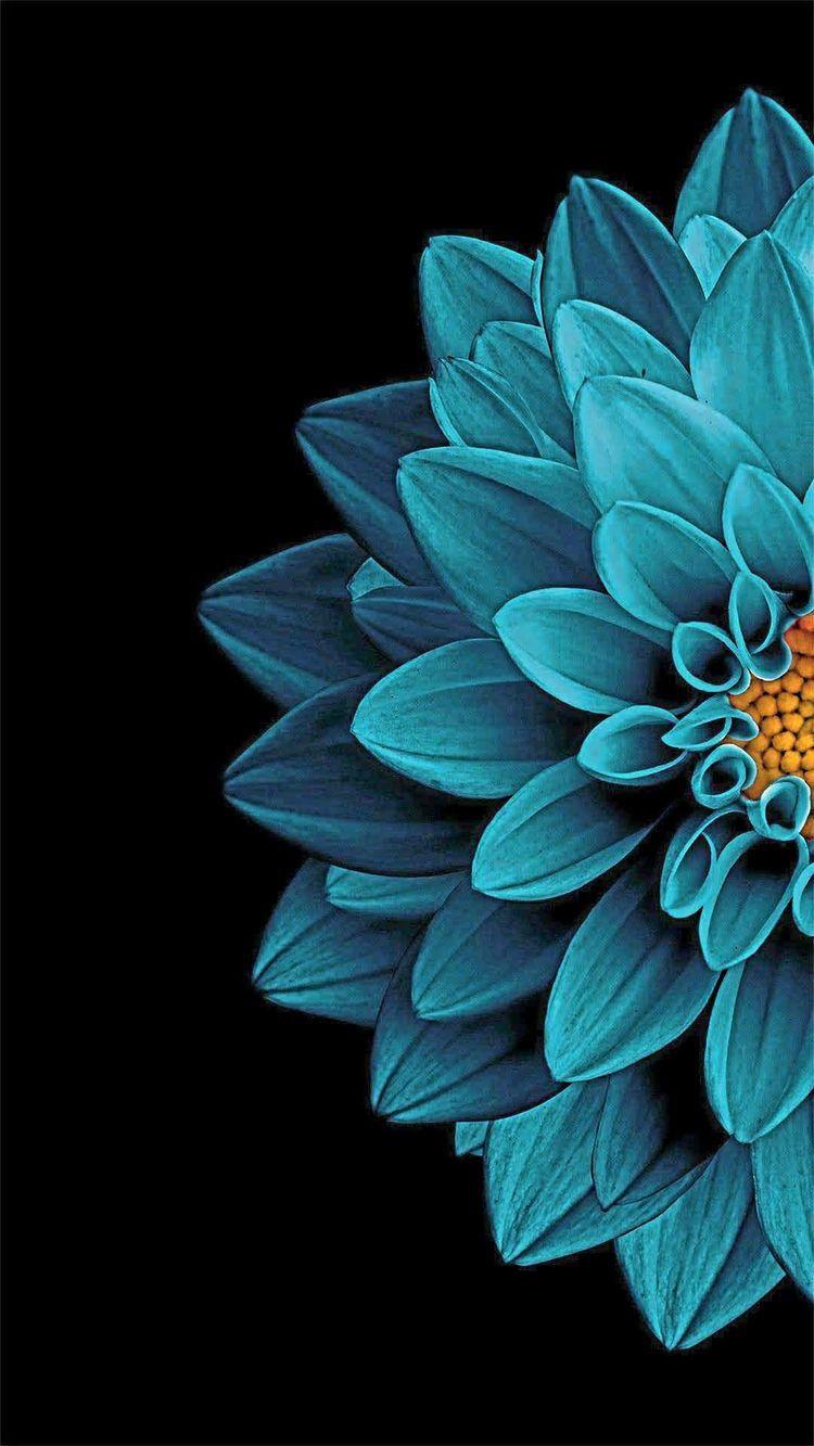 750x1333 Wallpaper mandala azul. Black background wallpaper, Flower background iphone, Blue wallpaper iphone