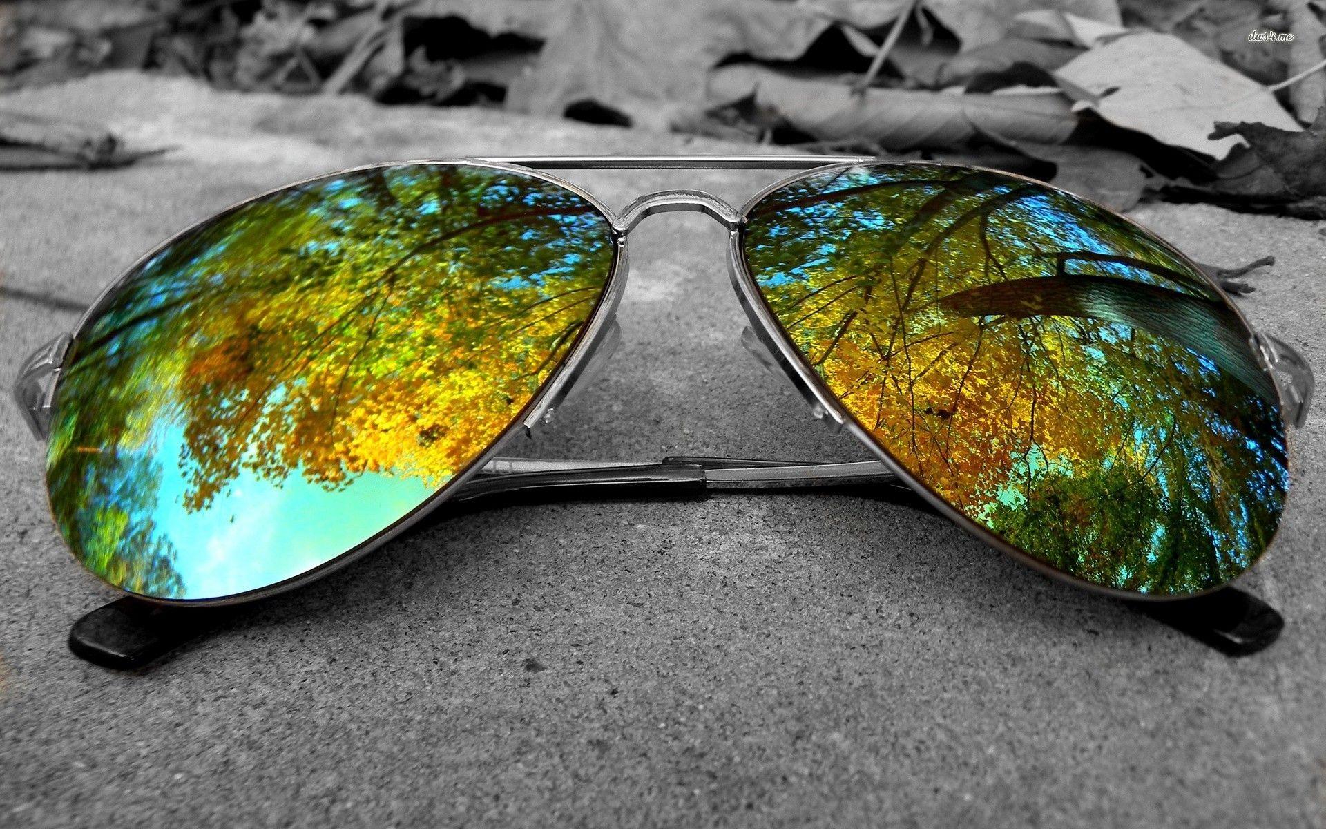 1920x1200 12543 Sunglasses 1920x1200 Photography Wallpaper Nature Reserve