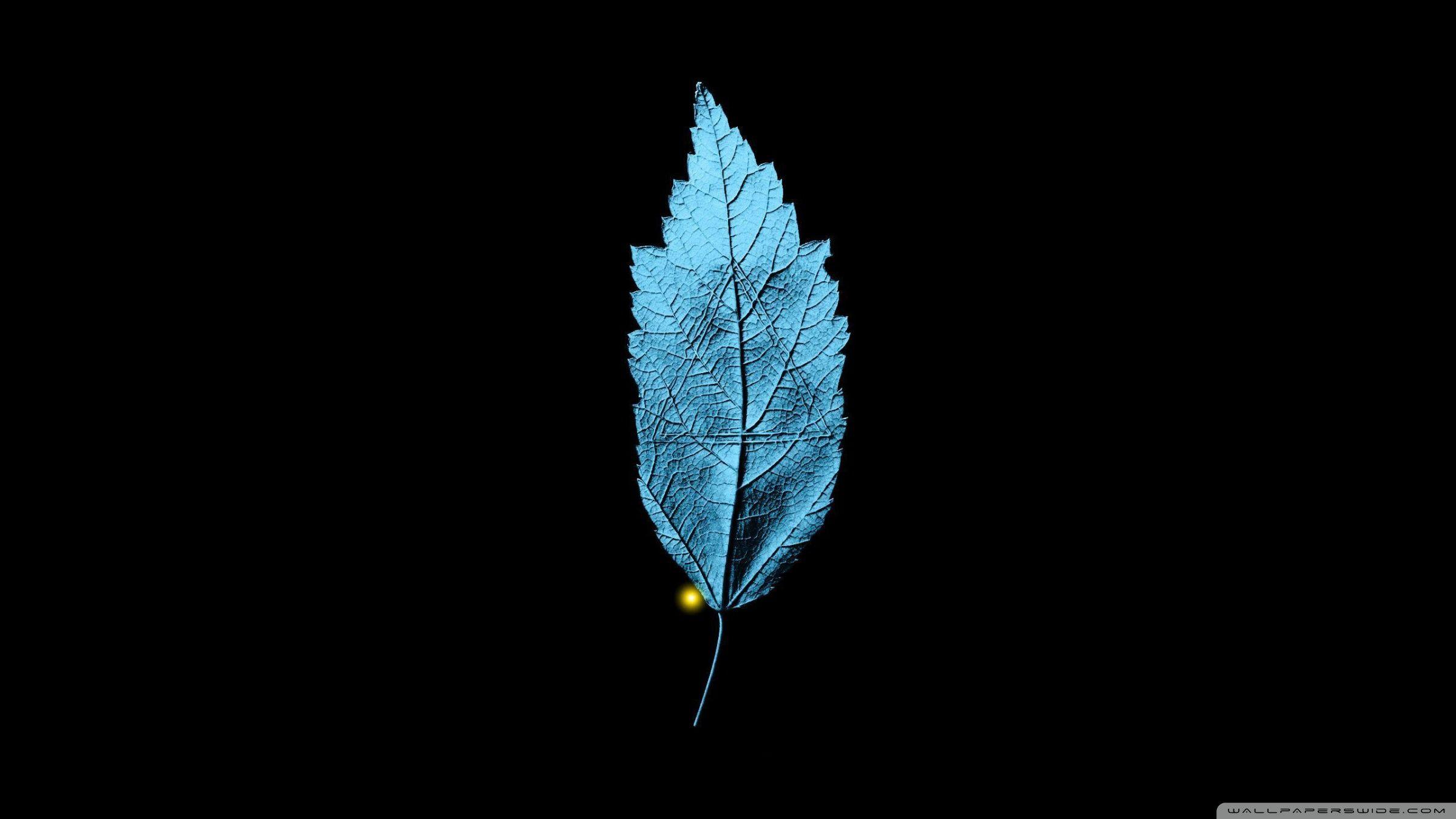 Black Triangle Wallpapers - Top Free Black Triangle Backgrounds