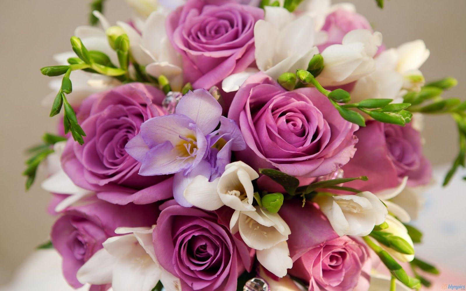 1600x1000 Free download Best Picture Beautiful Purple White Flowers Bouquet Wallpaper [1600x1000] for your Desktop, Mobile & Tablet. Explore Beautiful Flowers Wallpaper Free Download. Beautiful Flower Image Wallpaper, Beautiful HD