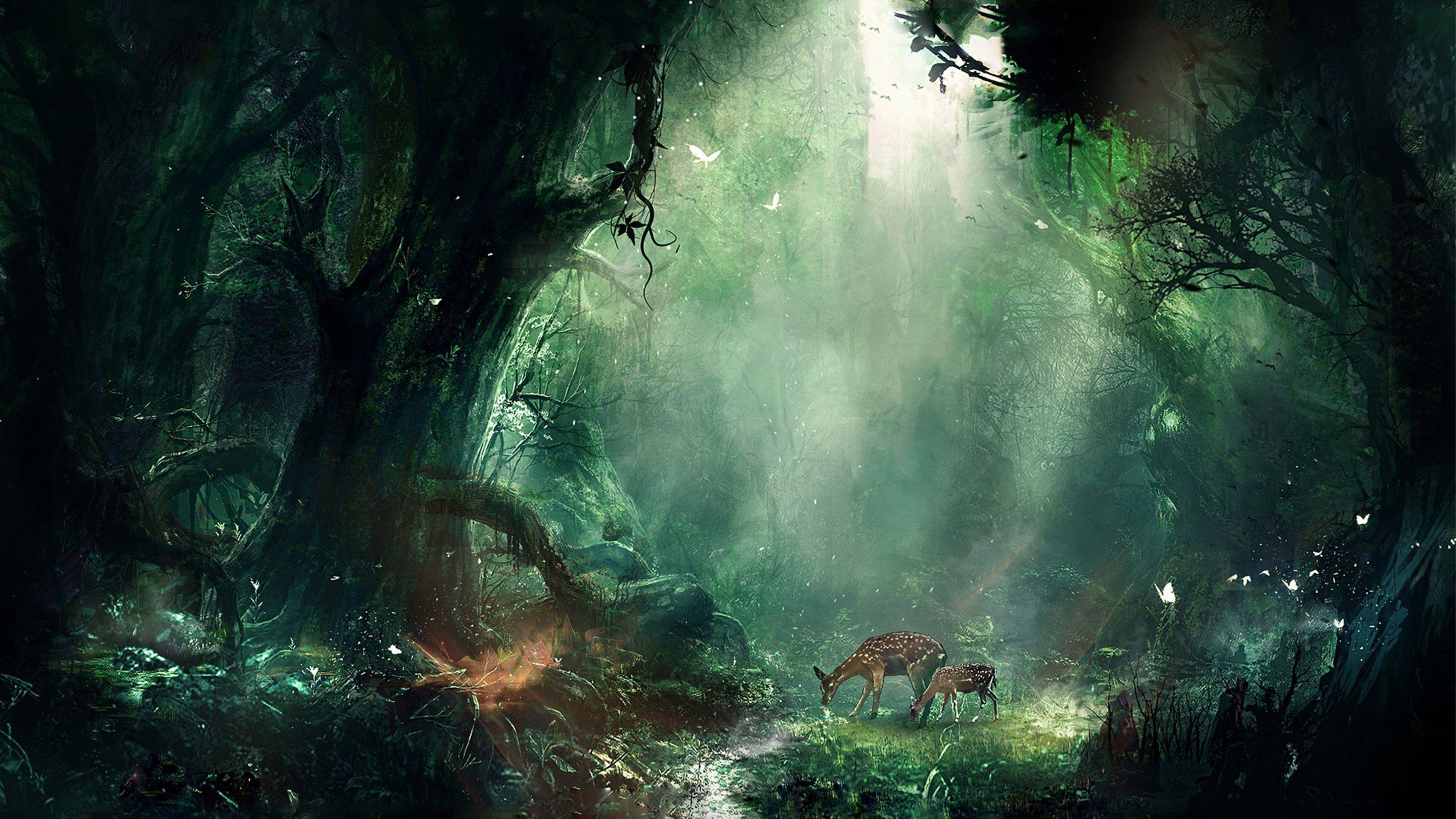 3840x2160 Jungle Wallpaper 4k Phone