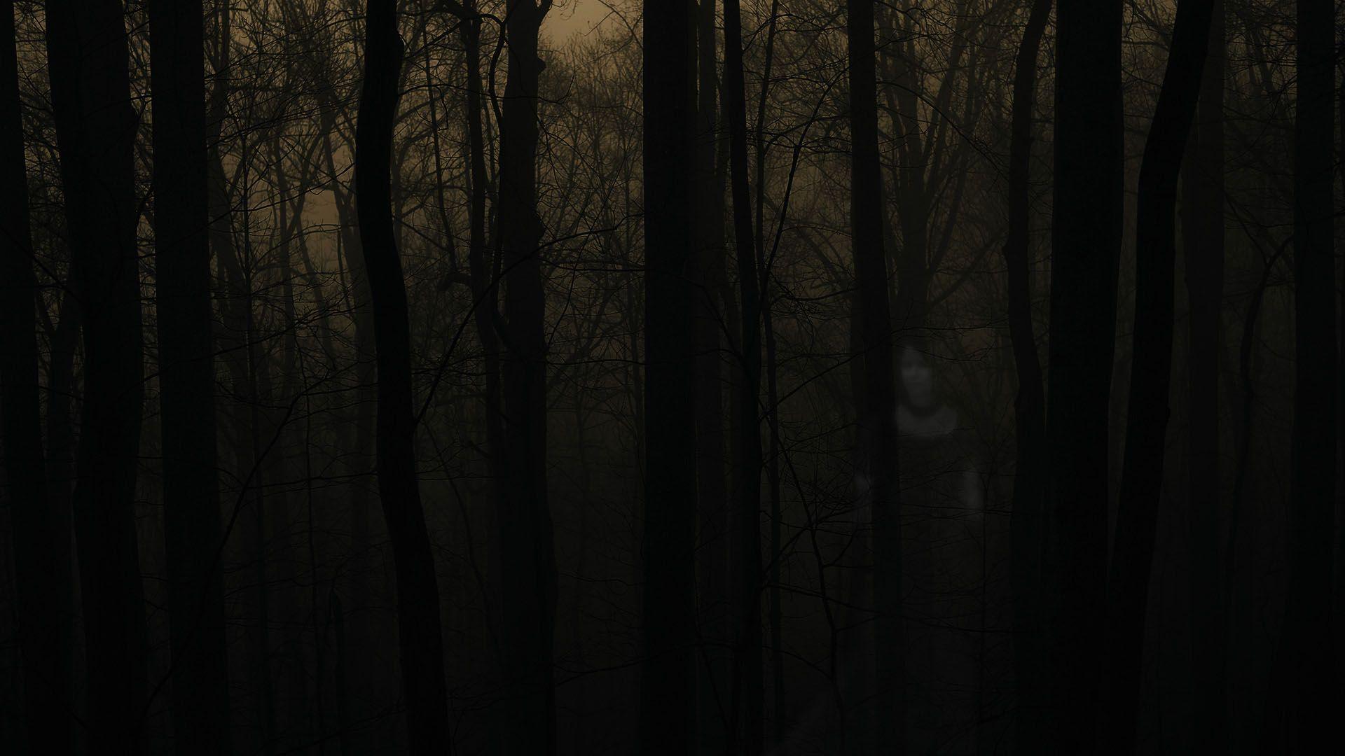 1920x1080 Widescreen Wallpaper of Scary Forest, New Photo 800×600 Creepy Forest Background (35 Wallpaper). Ador. Forest wallpaper, Haunted forest, Widescreen wallpaper