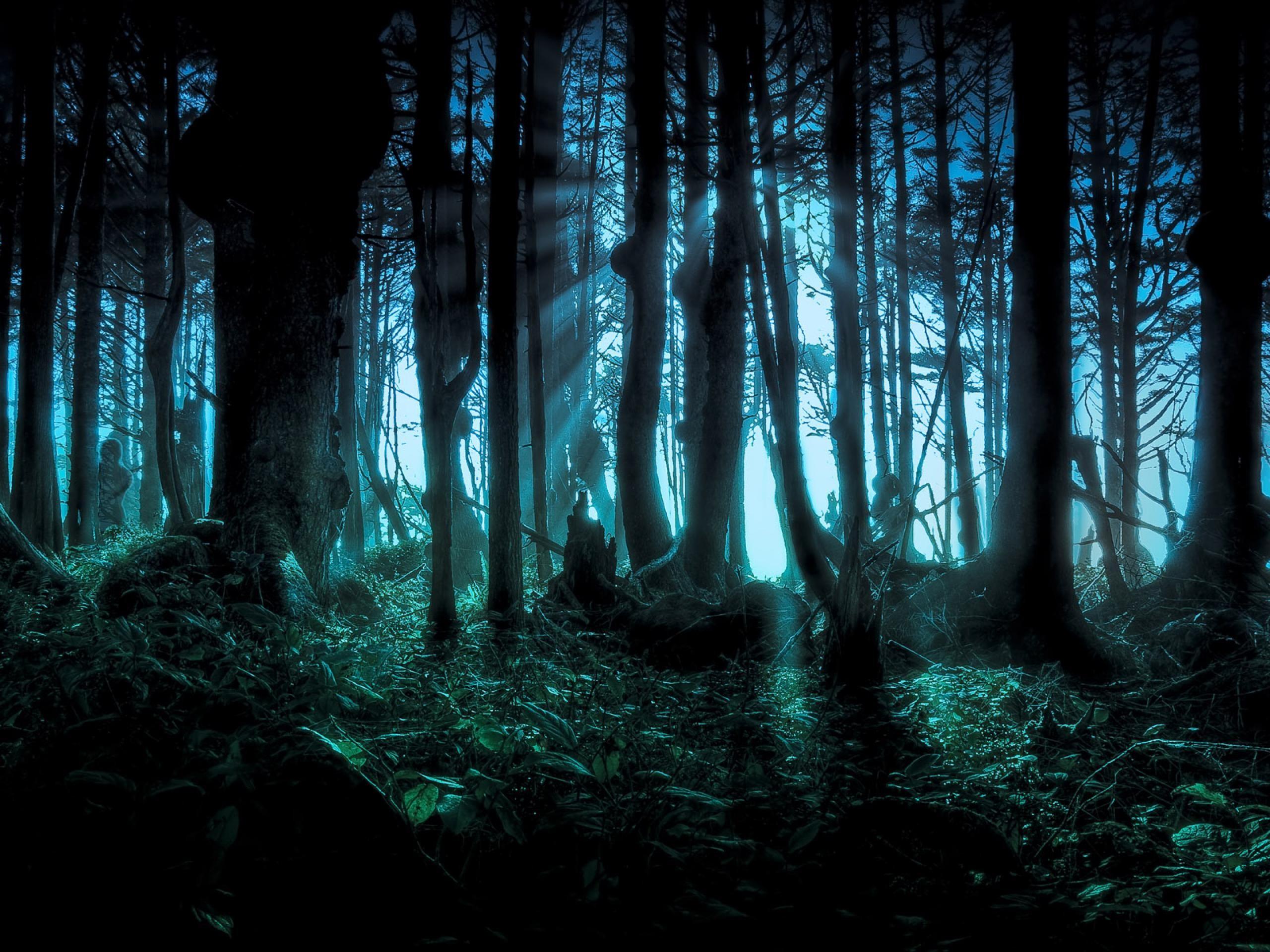 2560x1920 Scary Woods Wallpaper