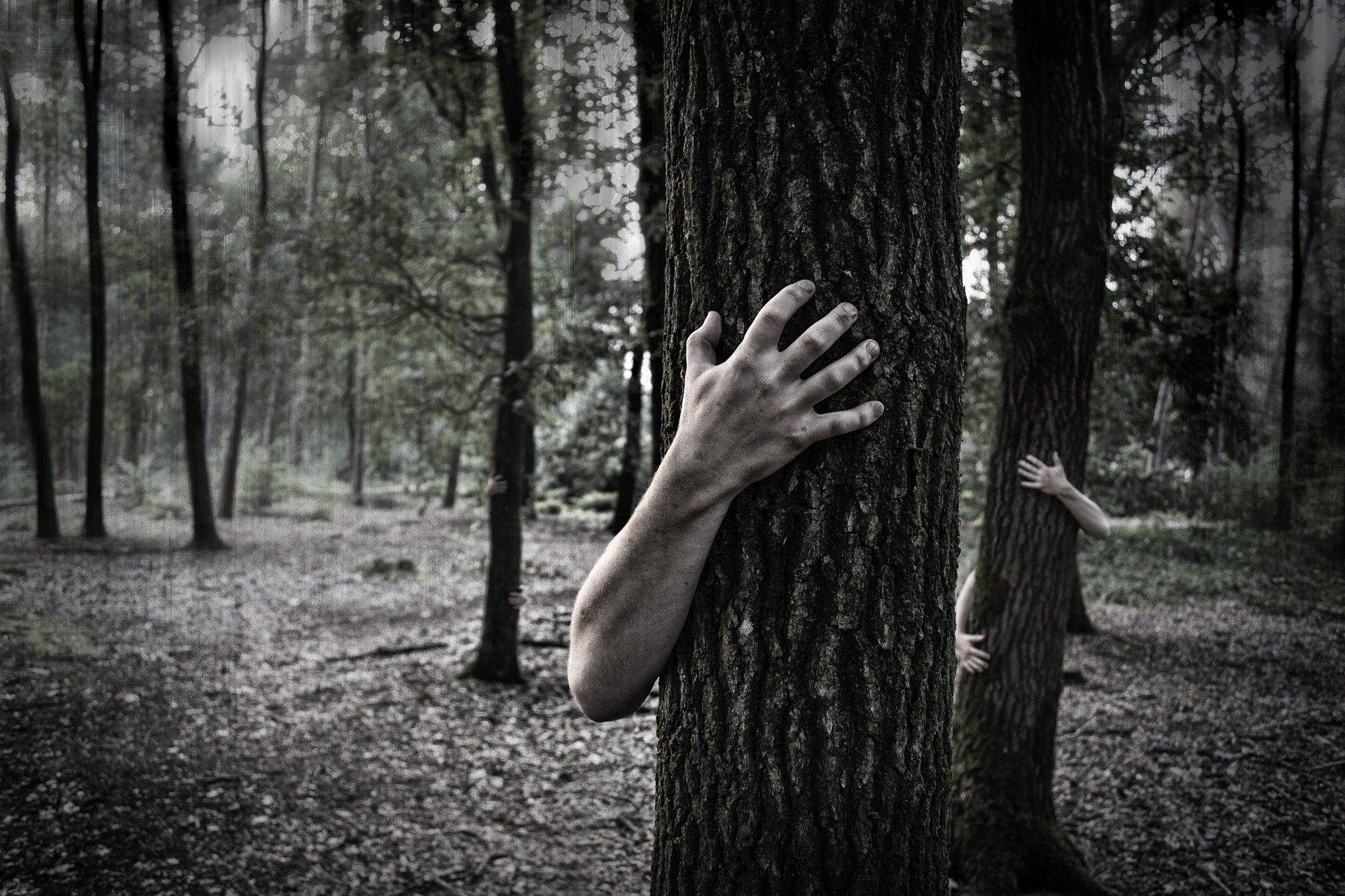 1920x1280 Creepy Forest