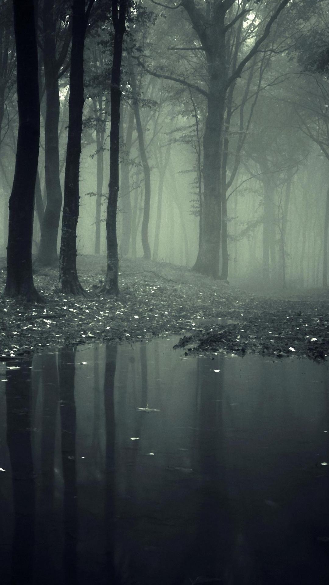 1080x1920 Dark Forest Android Wallpaper Horror Misty Dark Forest And White Forest Wallpaper HD HD Wallpaper