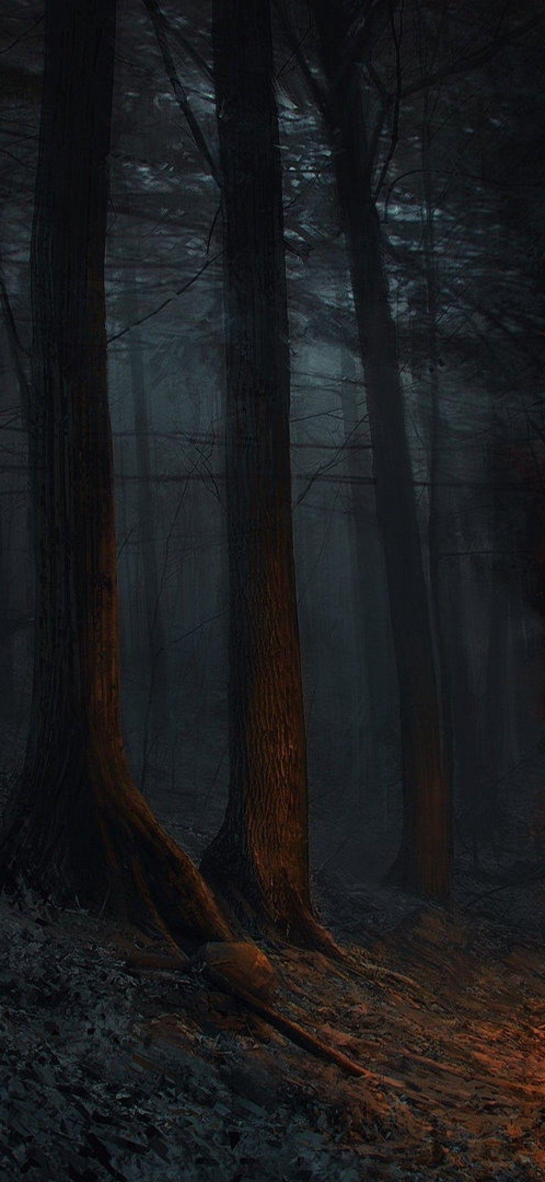 1080x2340 Fantasy Woman, Flames, Forest, Dark, Scary