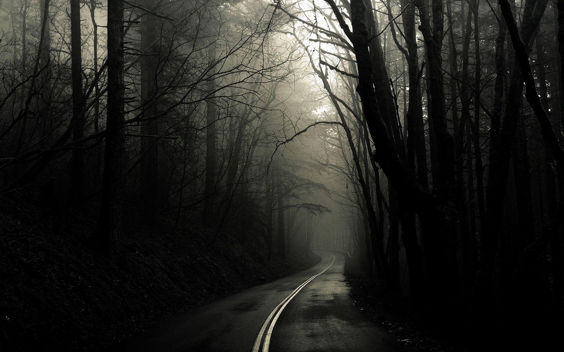 1920x1200 Ghostly Forest Wallpaper