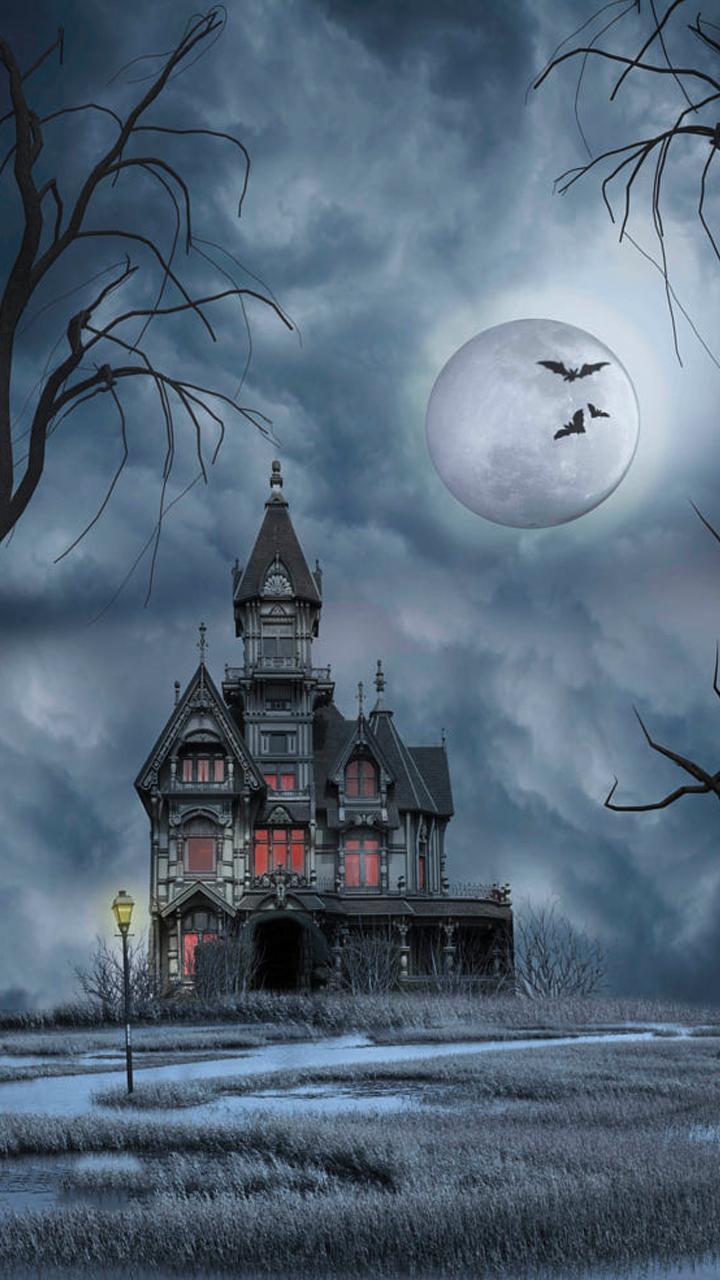 720x1280 Haunted House Wallpaper for Android