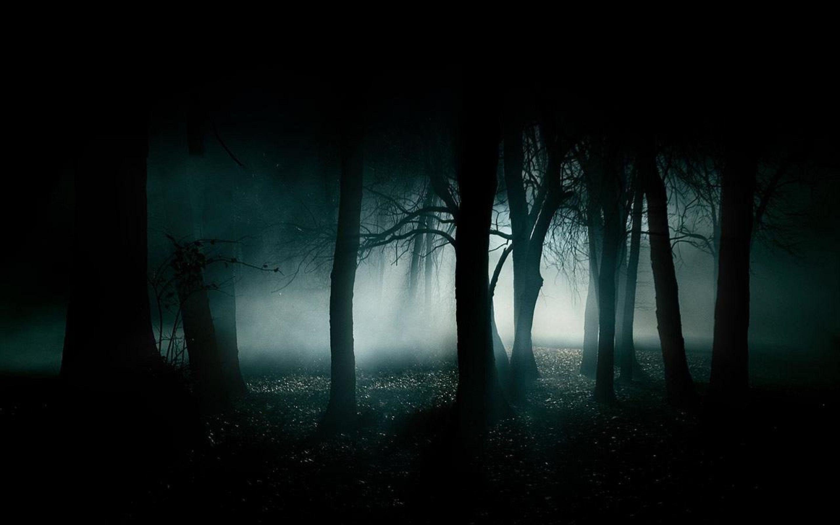 Horror Forest Wallpapers - Top Free Horror Forest Backgrounds ...