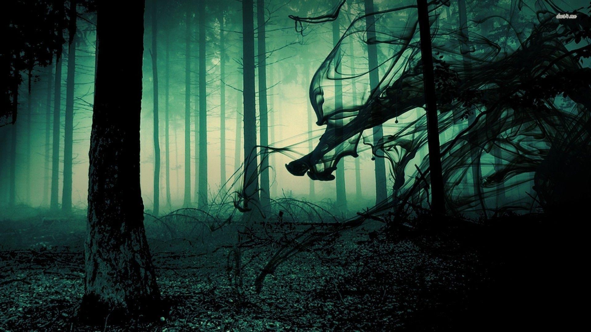 Haunted Forest Wallpapers Top Free Haunted Forest Backgrounds Wallpaperaccess