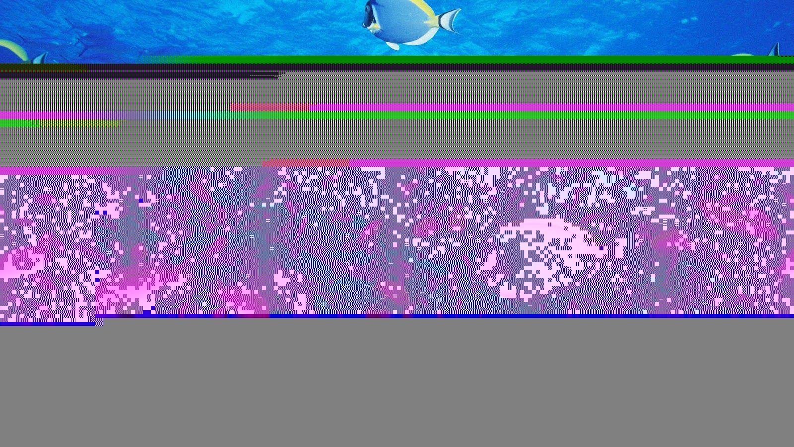 1600x900 Desktop Wallpaper › Fish Background