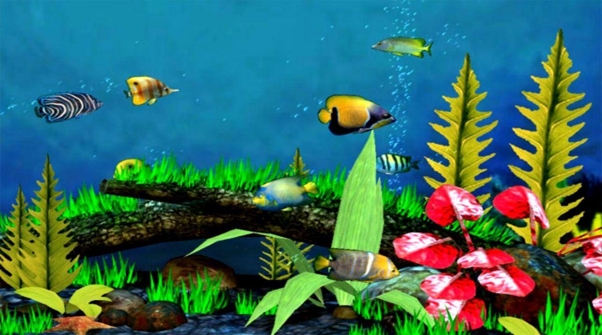 1243x691 3D Fish Wallpaper Widescreen HD. Best image Background