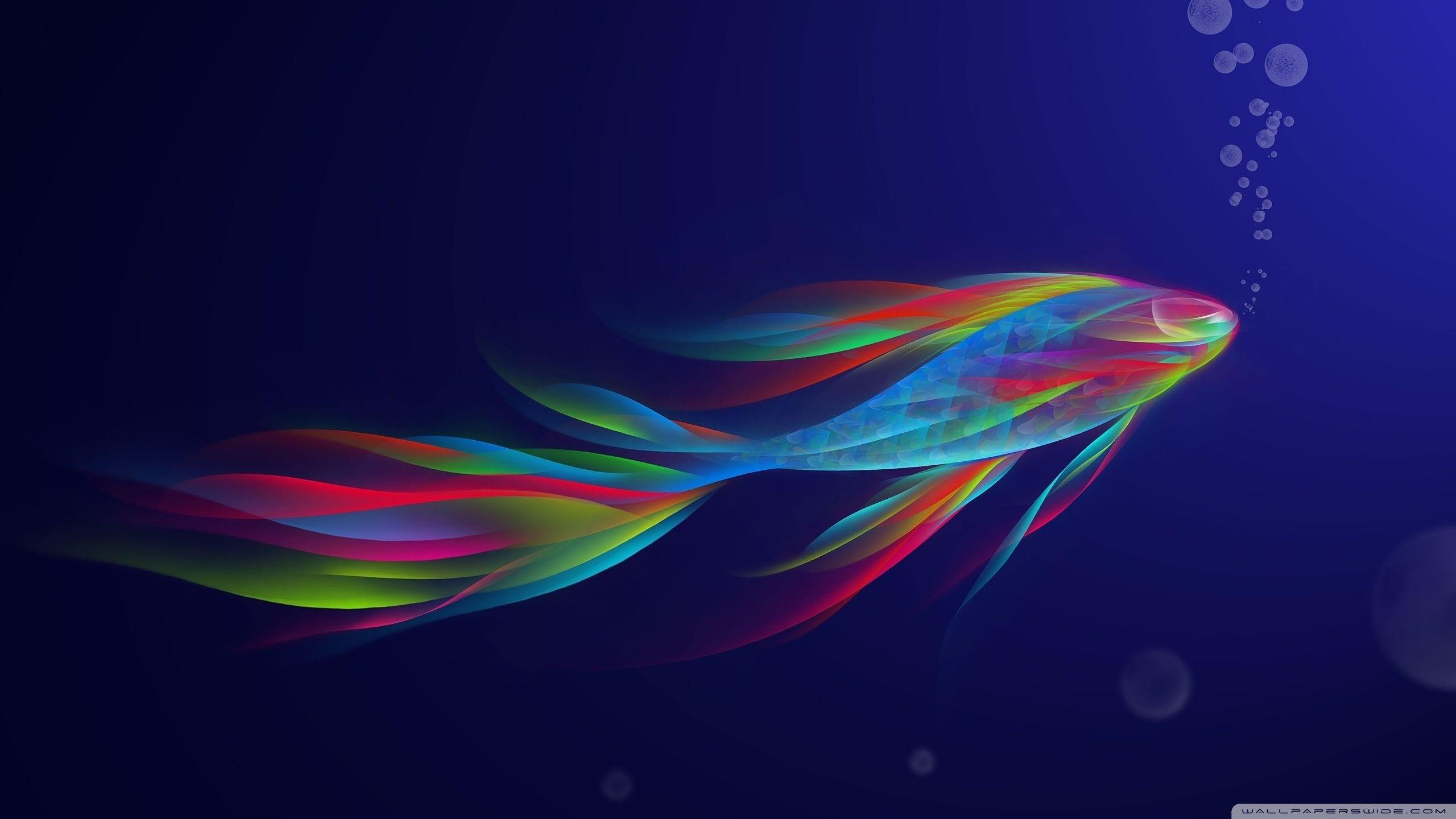 2560x1440 Colorful Betta Fish ❤ 4K HD Desktop Wallpaper for 4K Ultra HD TV
