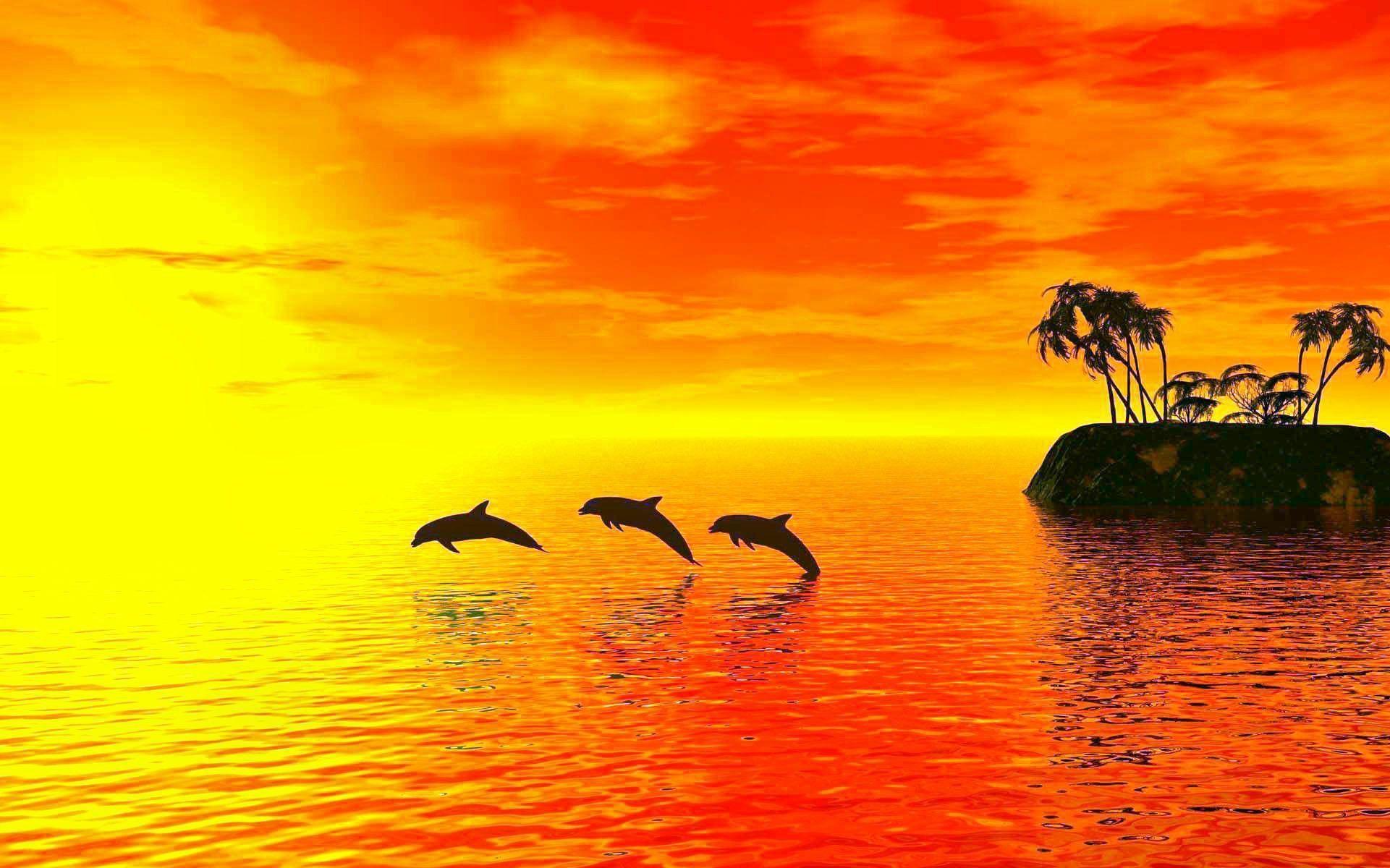 1921x1200 beautiful fish desktop wallpaper fish desktop background 009