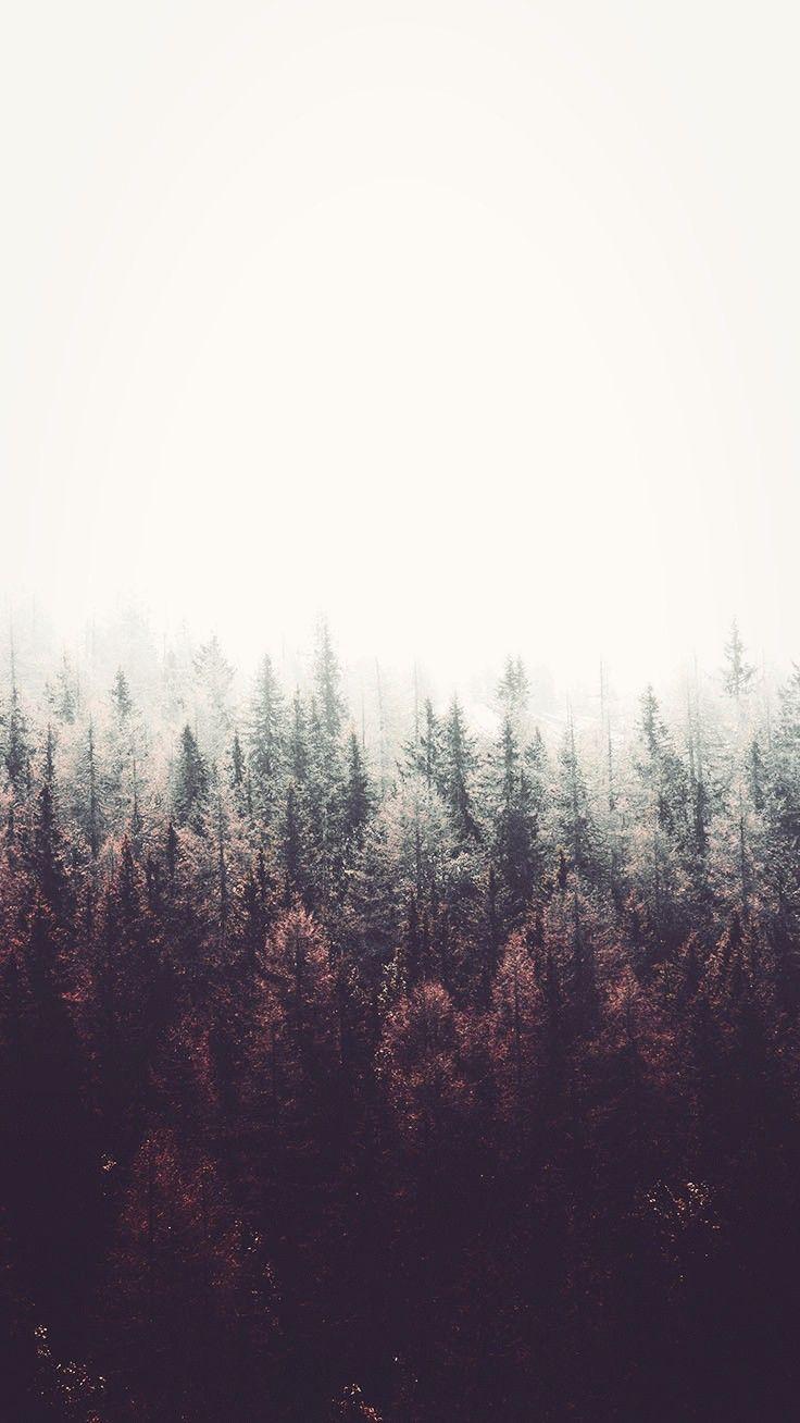 736x1308 iphone wallpaper aesthetic. Forest wallpaper, Preppy wallpaper, Tumblr wallpaper