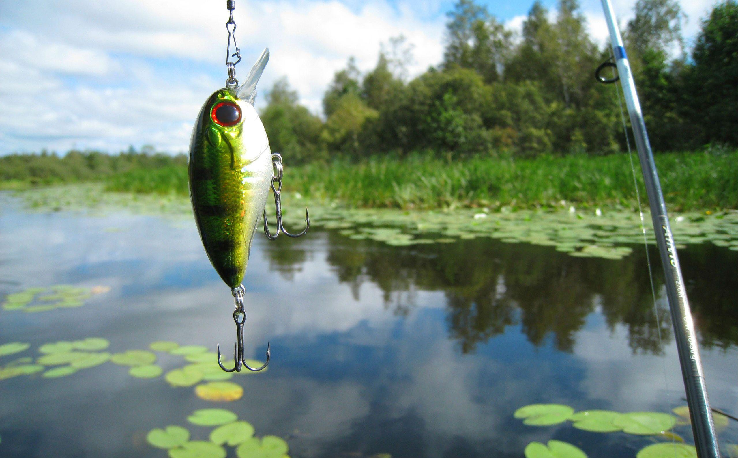 2558x1586 Fishing Desktop Background Group 75 Within Wallpaper