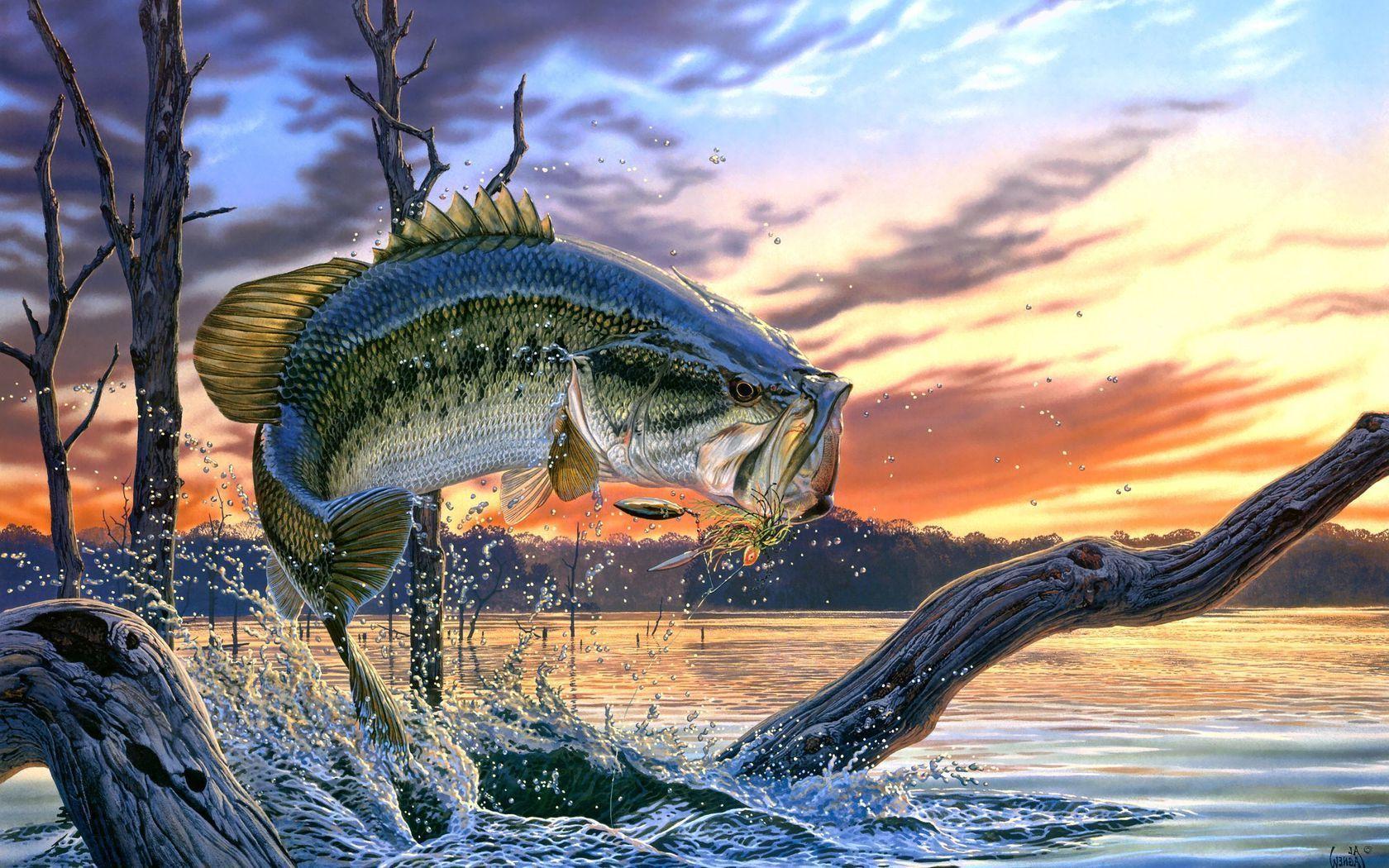1680x1050 Fishing desktop wallpaper