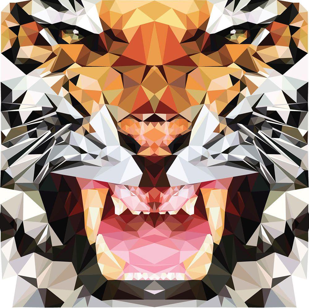 1000x995 Tiger Ideas For A Yearbook HD Wallpaper