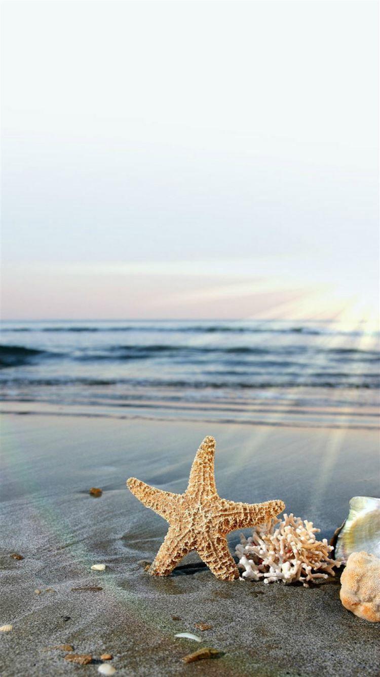 750x1334 Starfish Sun Waves Beach iPhone 8 Wallpaper Free Download