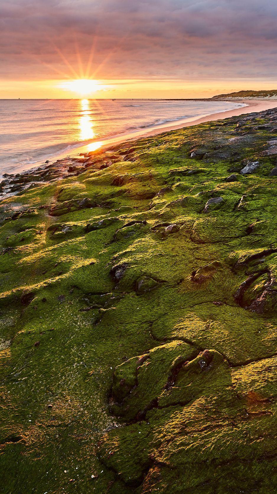 938x1668 Download Wallpaper 938x1668 Sea, Beach, Coast, Rays, Sun Iphone 8 7 6s 6 For Parallax HD Background