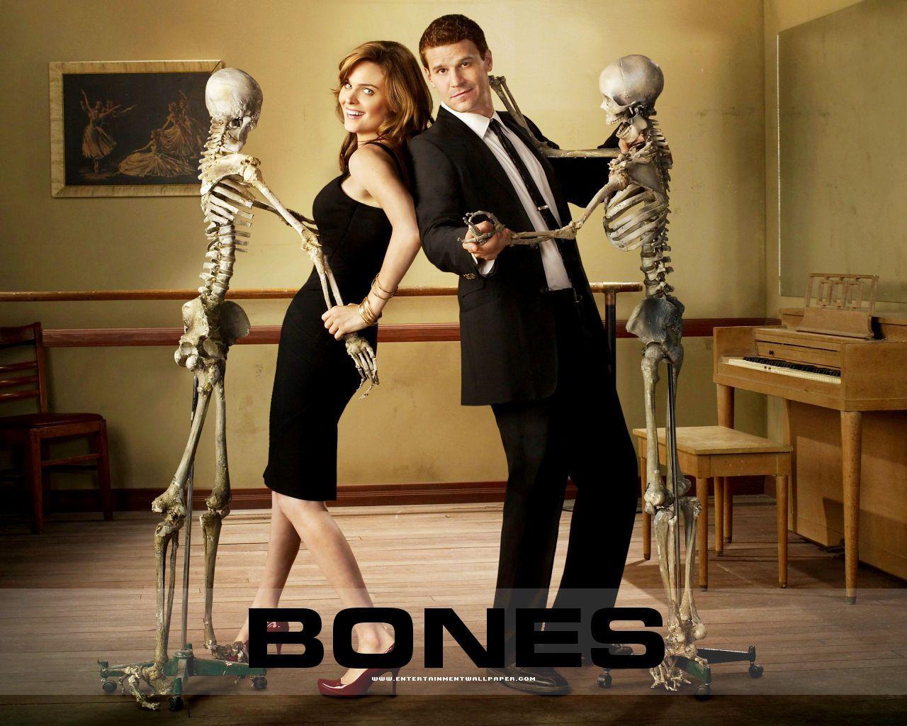1280x1024 Bones Season 8 Episode 1. TV, Movie và Movie tv
