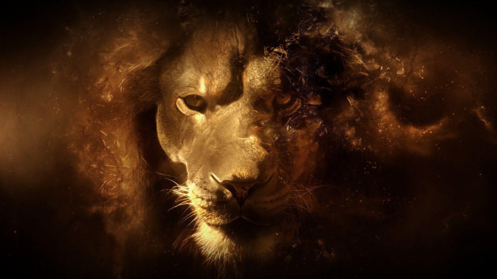 1600x900 Gold Lion Wallpaper HD