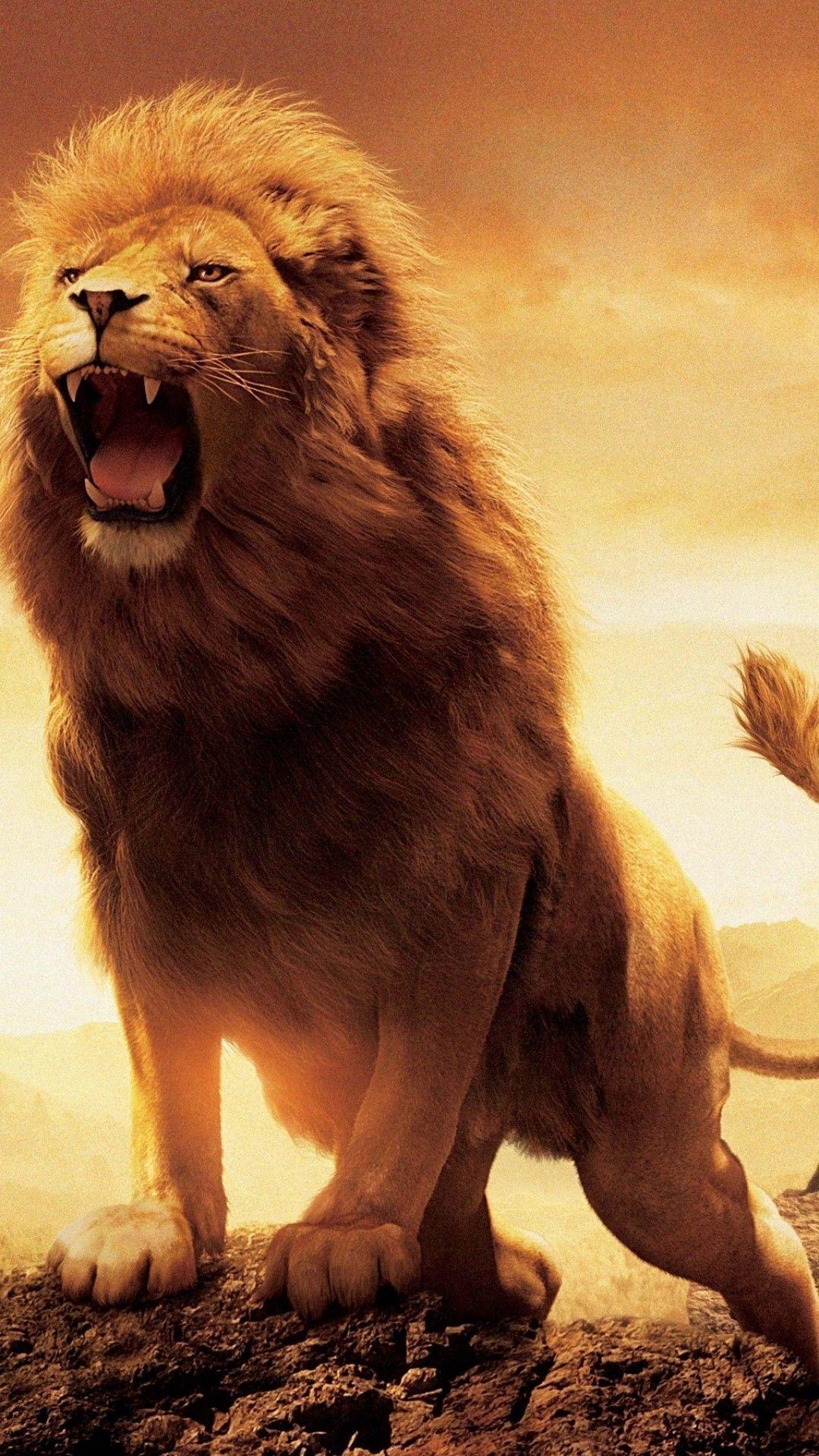 1080x1920 Golden Lion Wallpaper