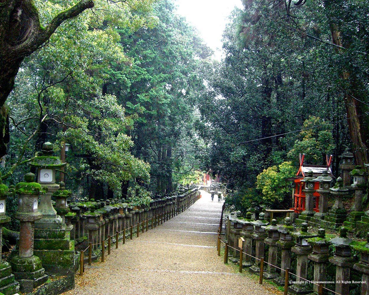 1280x1024 Japanese Scenery Wallpaper