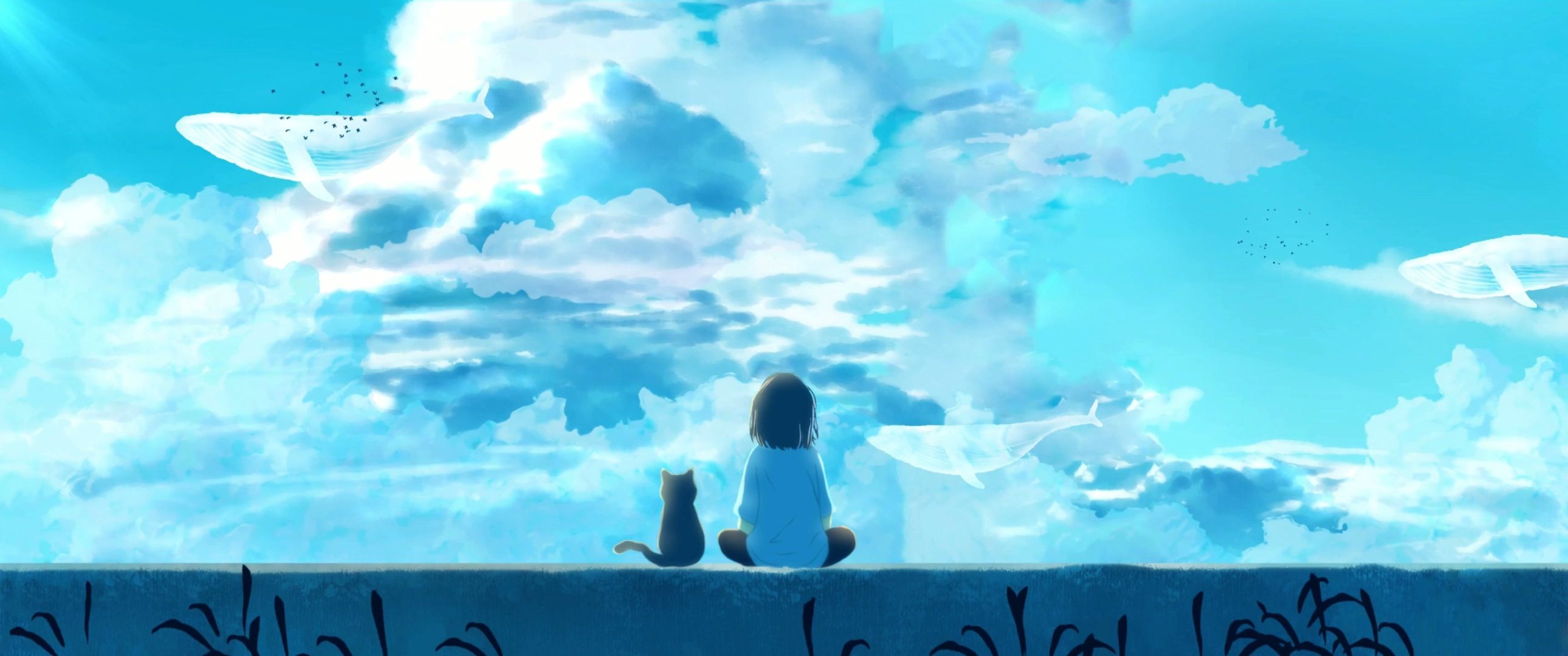 2580x1080 2K WQHD Live Wallpaper, 1440p