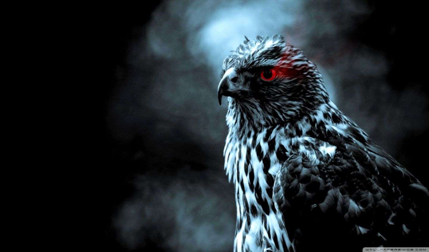 1440x846 Abstract Eagle Eye Wallpaper