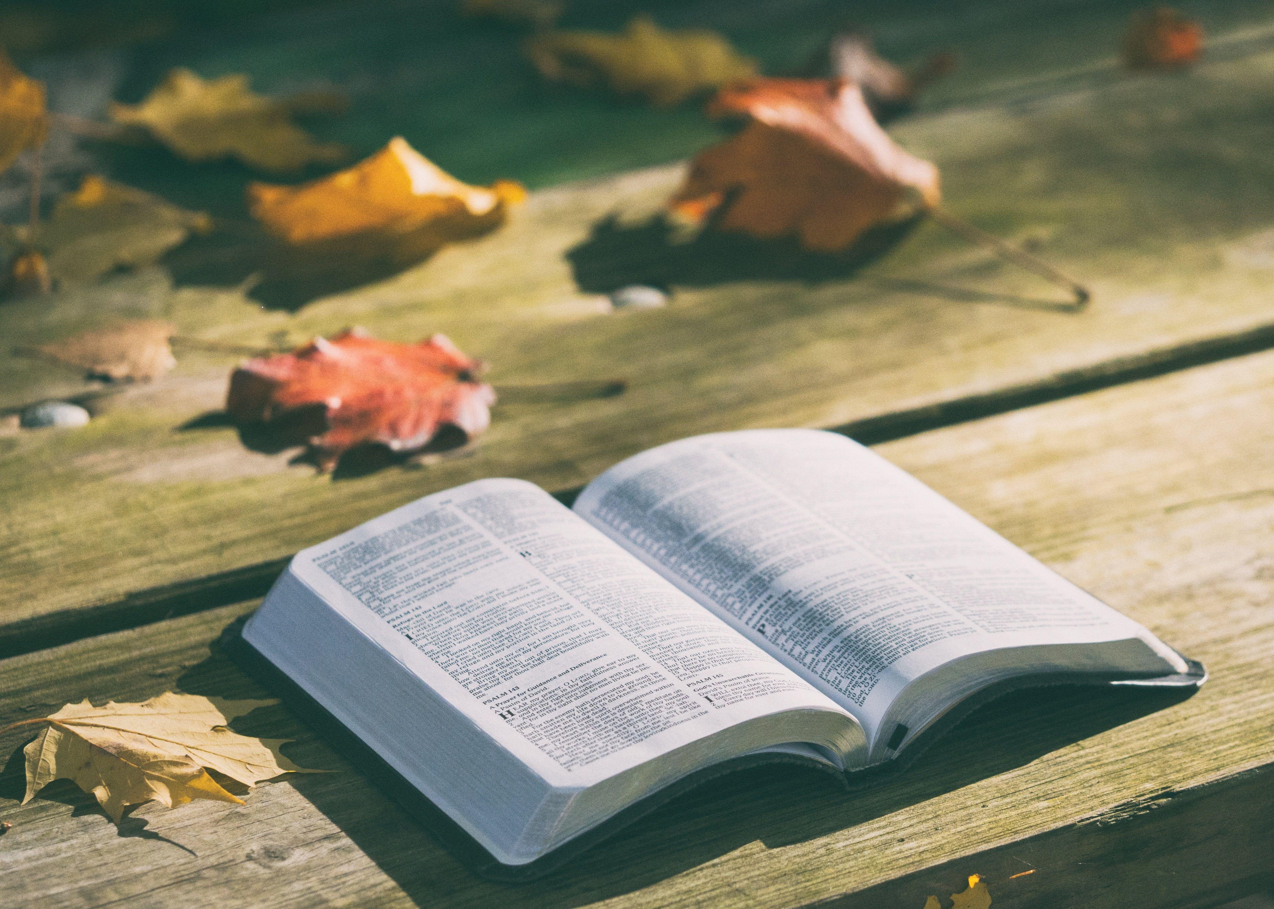 4418x3155 Bible Book