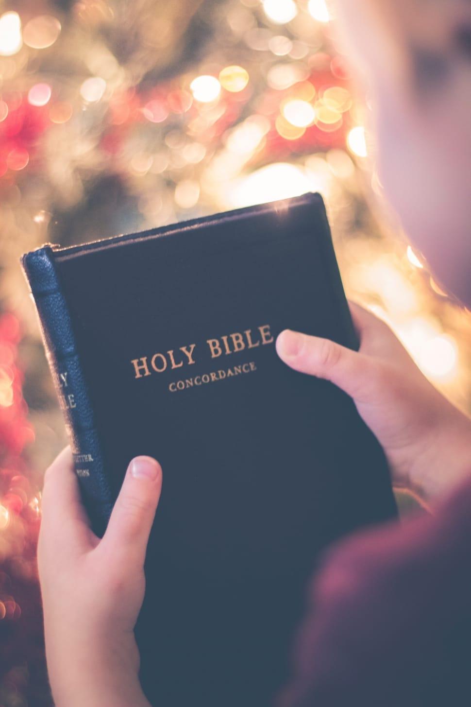 970x1455 holy, book, bible, reading, human hand, human body part free image