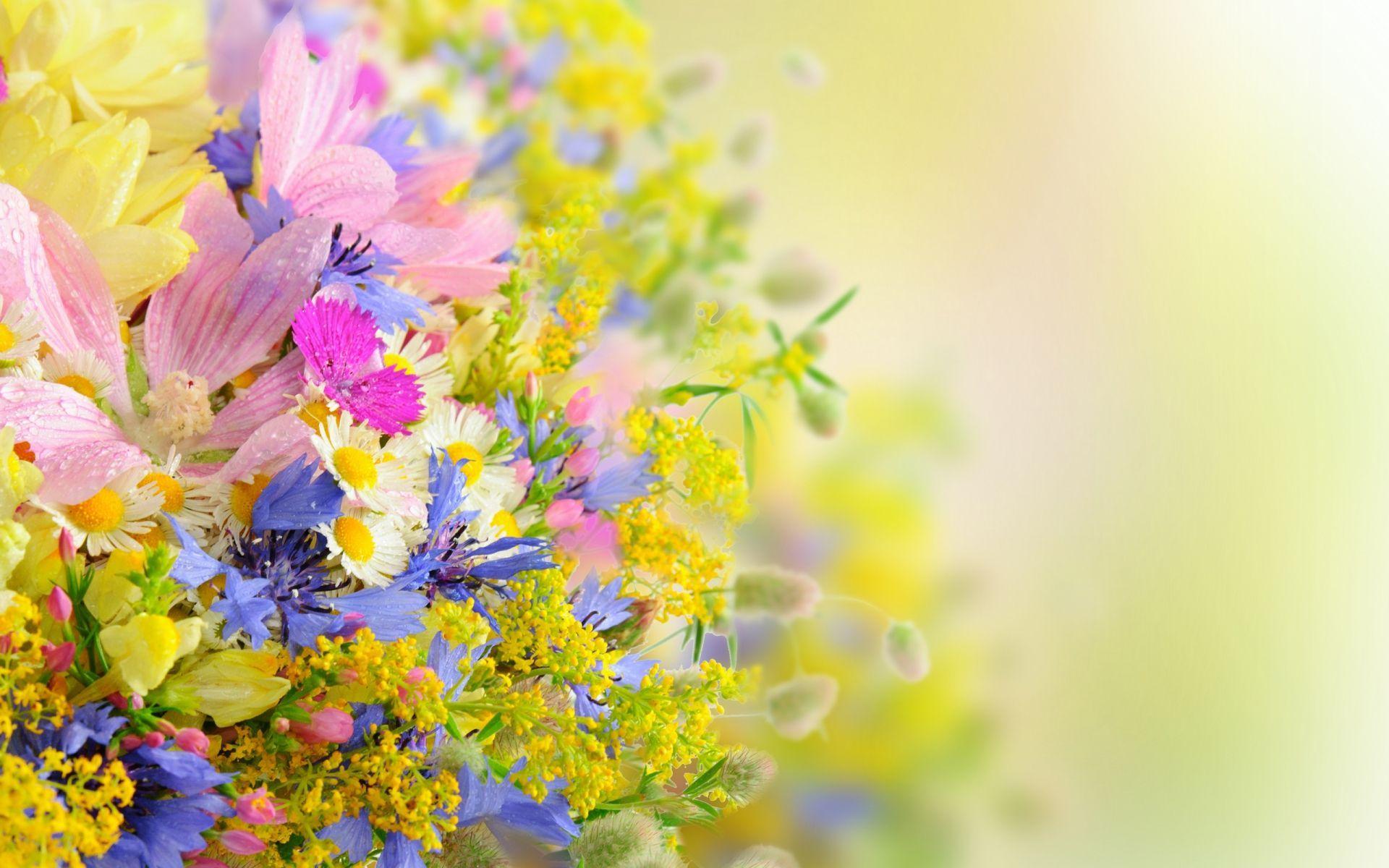 1920x1200 Artistic Wallpaper. Beautiful flowers wallpaper, Beautiful flowers HD wallpaper, Flower image wallpaper