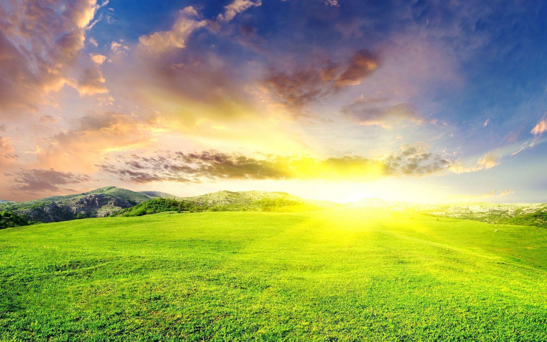 1920x1200 Meadows Wallpaper