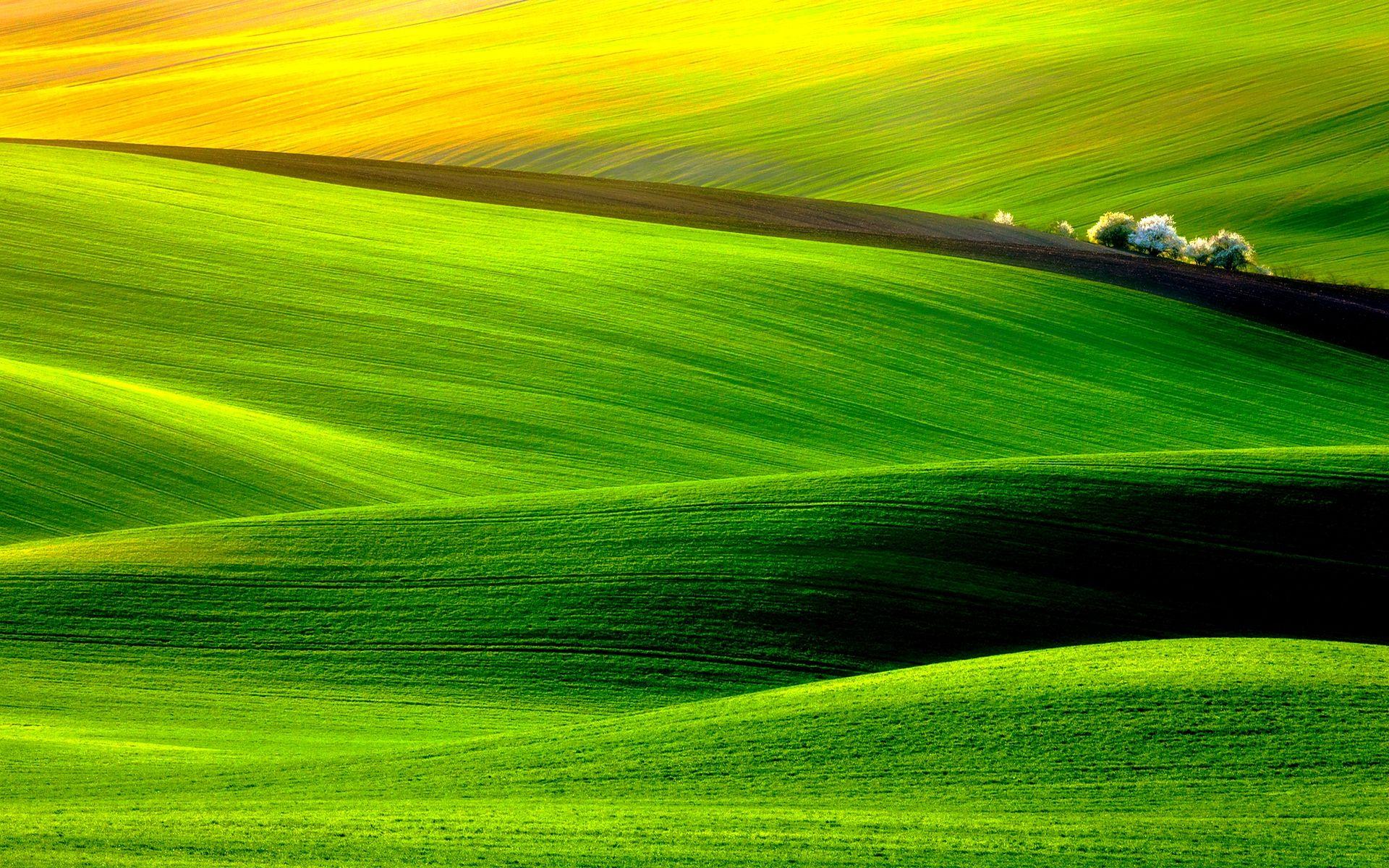 Green Meadow Wallpapers - Top Free Green Meadow Backgrounds