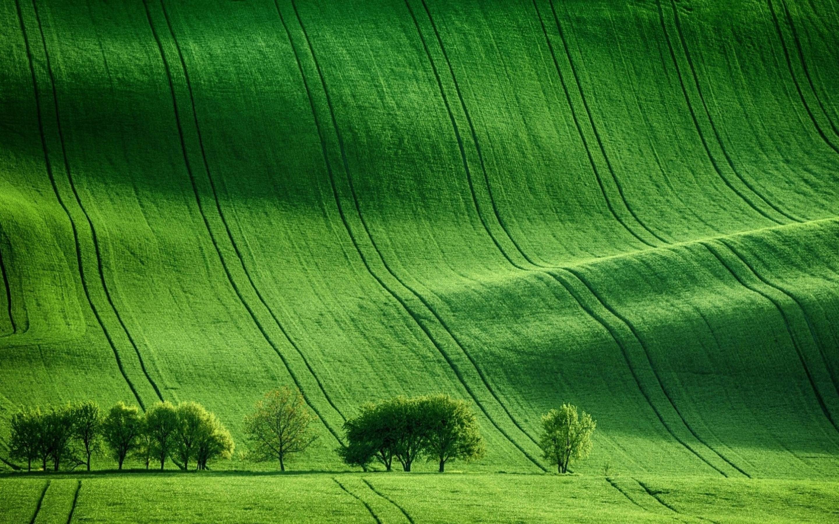 2880x1800 Green Meadow Field Macbook Pro Retina Wallpaper, HD Nature 4K Wallpaper, Image, Photo and Background