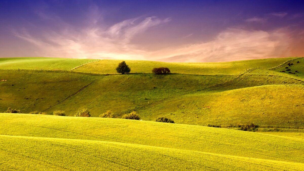 Green Meadow Wallpapers - Top Free Green Meadow Backgrounds ...