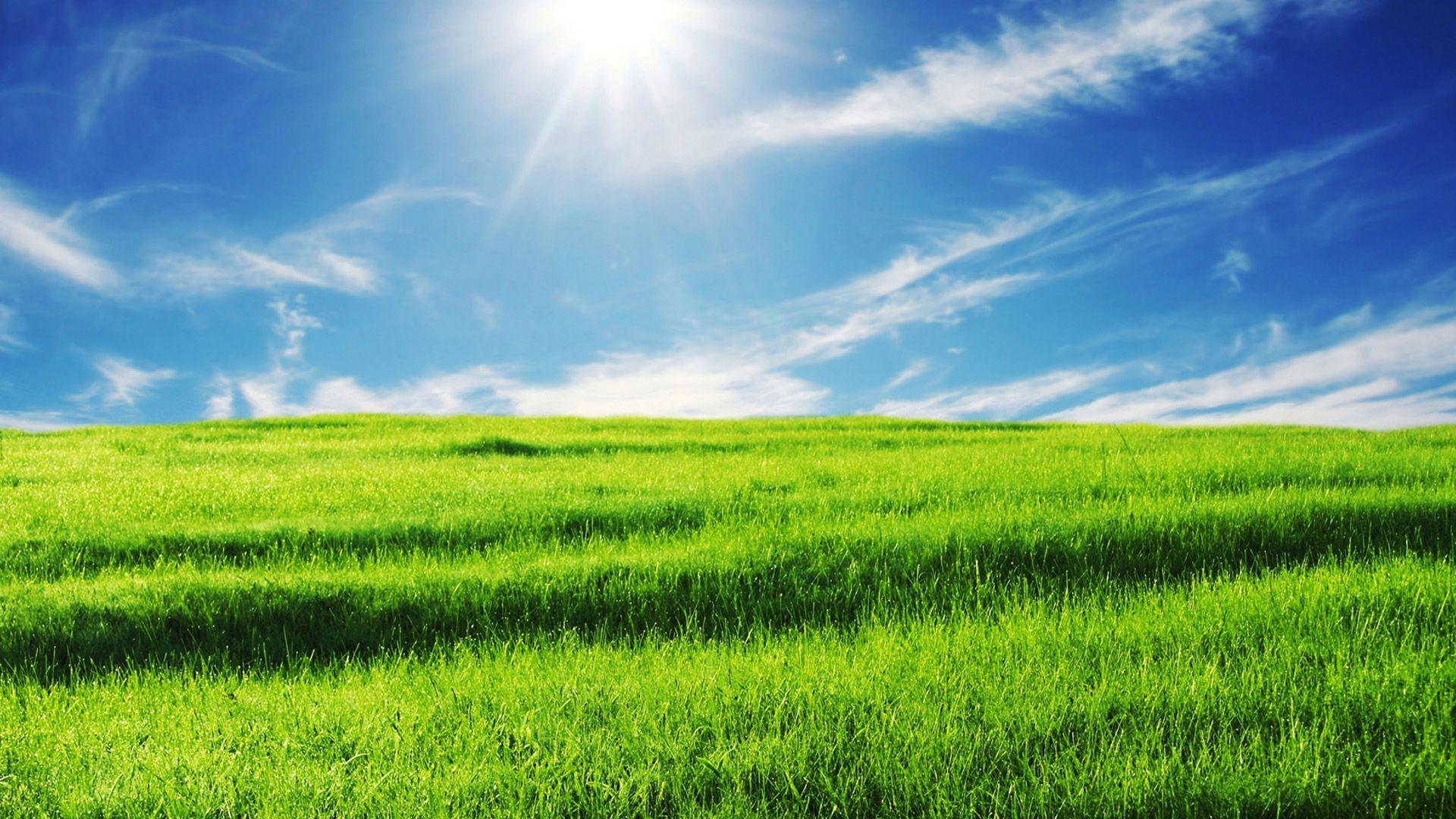 1920x1080 Green Meadow and Sky .