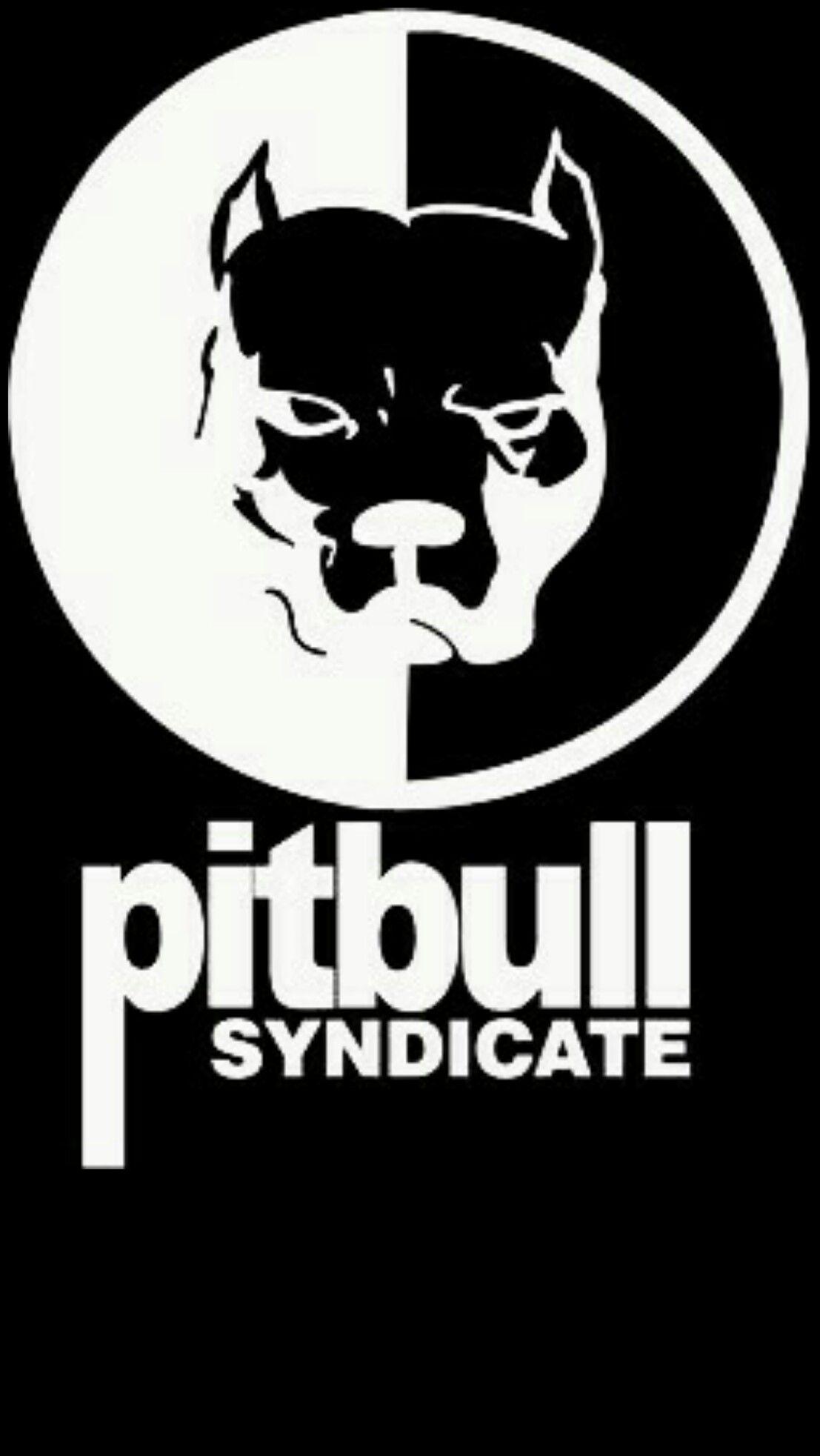 pitbull logo wallpaper