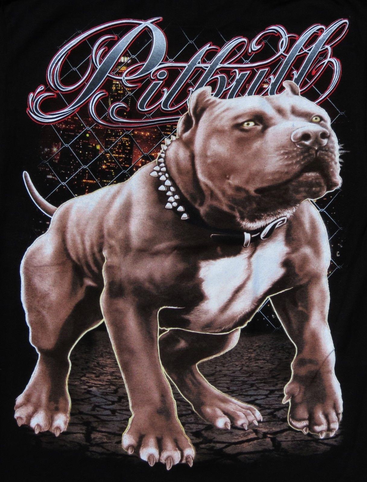 1217x1600 Pitbull Germany Wallpaper