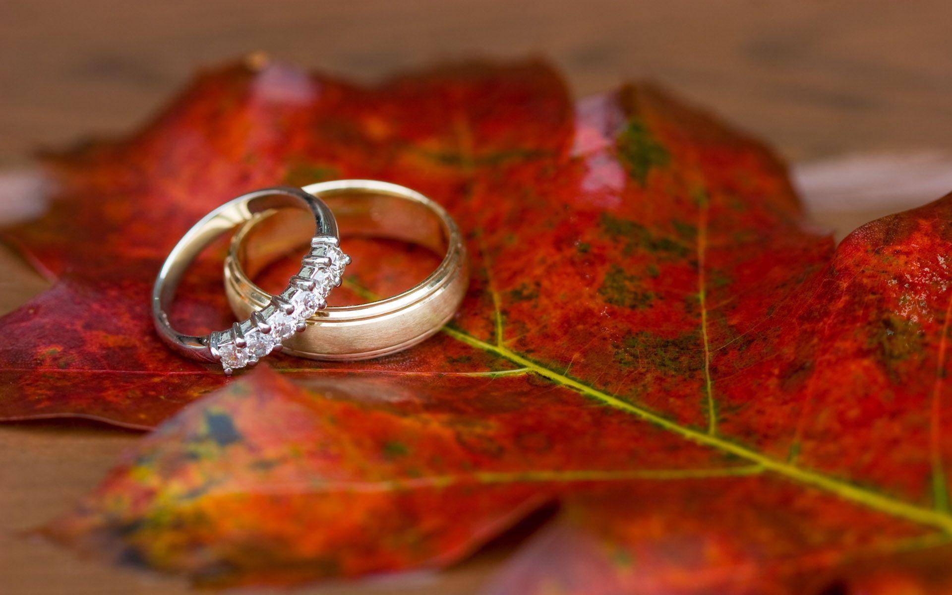 1920x1200 Engagement Wallpaper