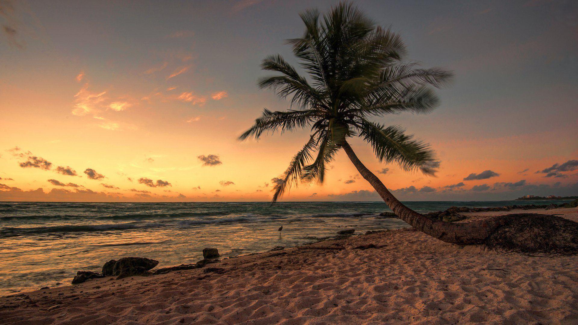 1920x1080 Desktop Wallpaper Beach at Night .