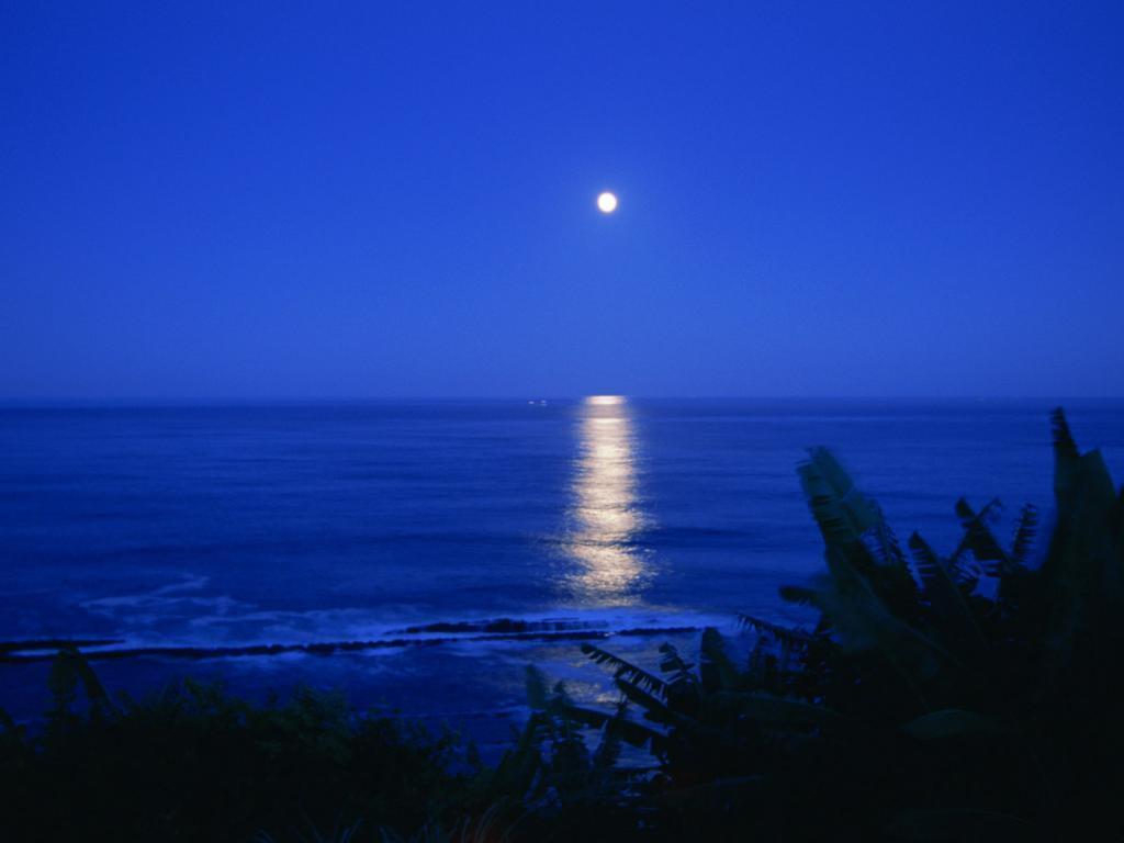 1024x768 Beach At Night Wallpaper