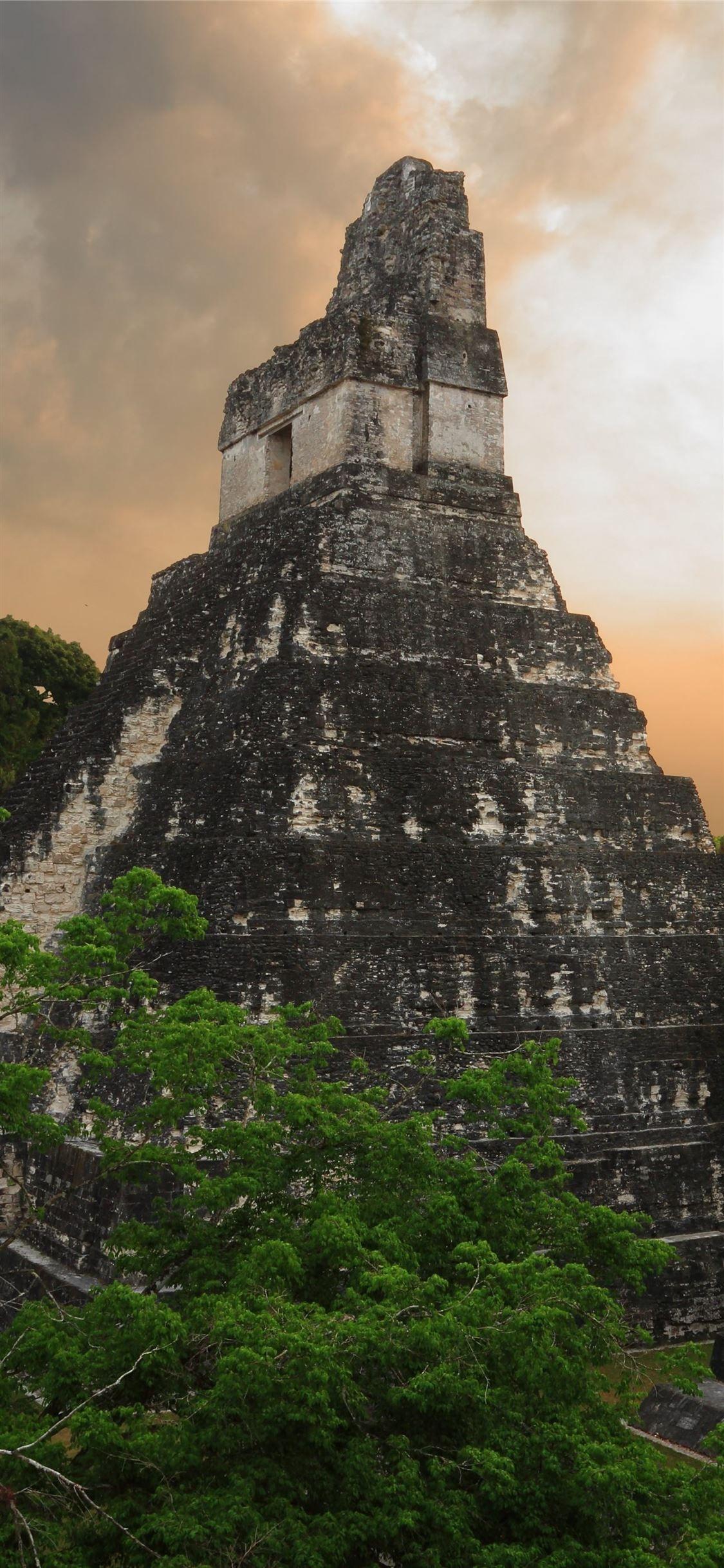 1125x2436 Tikal Guatemala Sunrise Sunset Times #Tikal mostbeautifulplacestovisit #NorthernGuatemala #iPhone11Wa. iPhone wallpaper image, Tikal, Flower iphone wallpaper