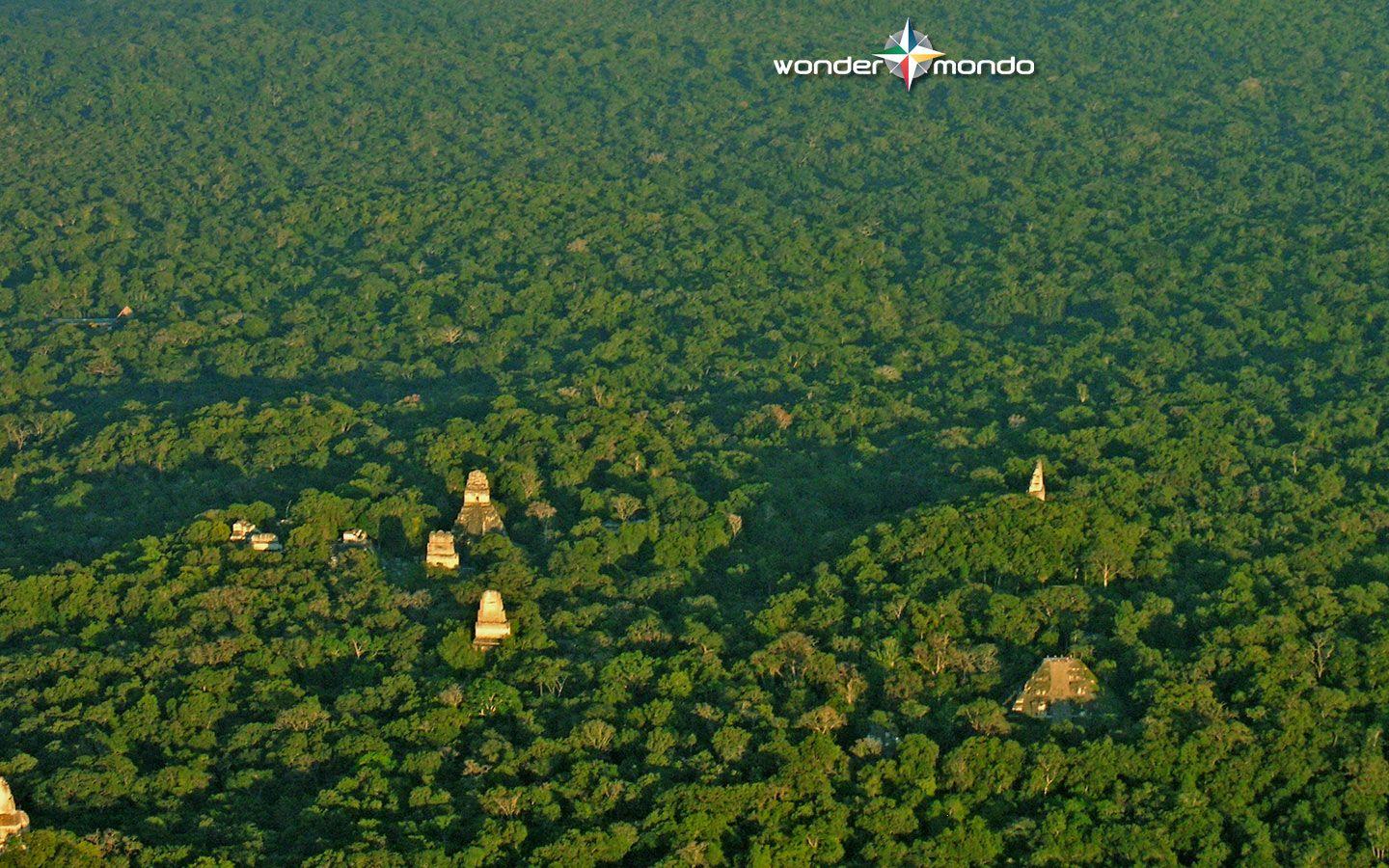 1440x900 Free download Wallpaper with ruins of Tikal Guatemala Wondermondo [1600x900] for your Desktop, Mobile & Tablet. Explore Guatemala Desktop Wallpaper. Guatemala Flag Wallpaper, Antigua Guatemala Wallpaper, Guatemala HD Wallpaper