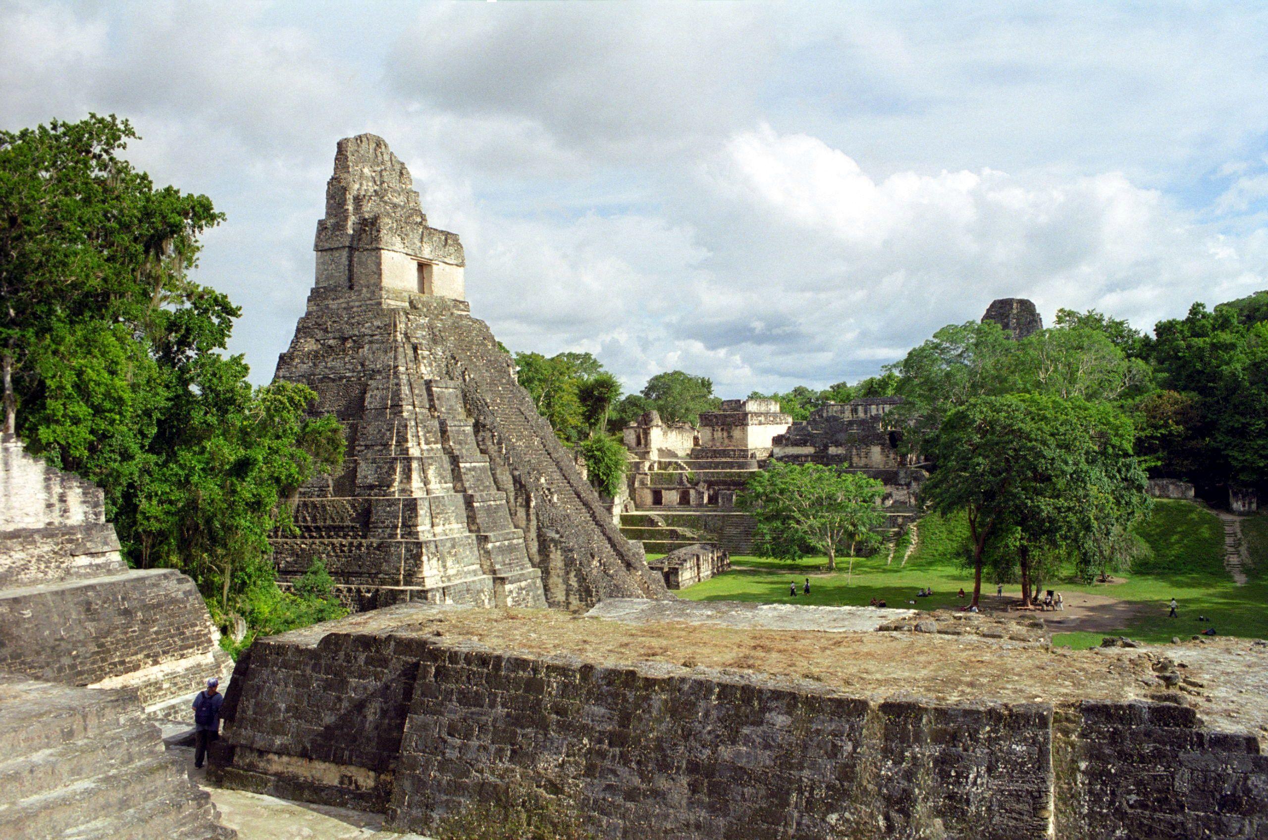 2560x1696 Tikal Wallpaper. Tikal the Echidna Wallpaper, Tikal Wallpaper and Tikal Sonic Adventure Wallpaper