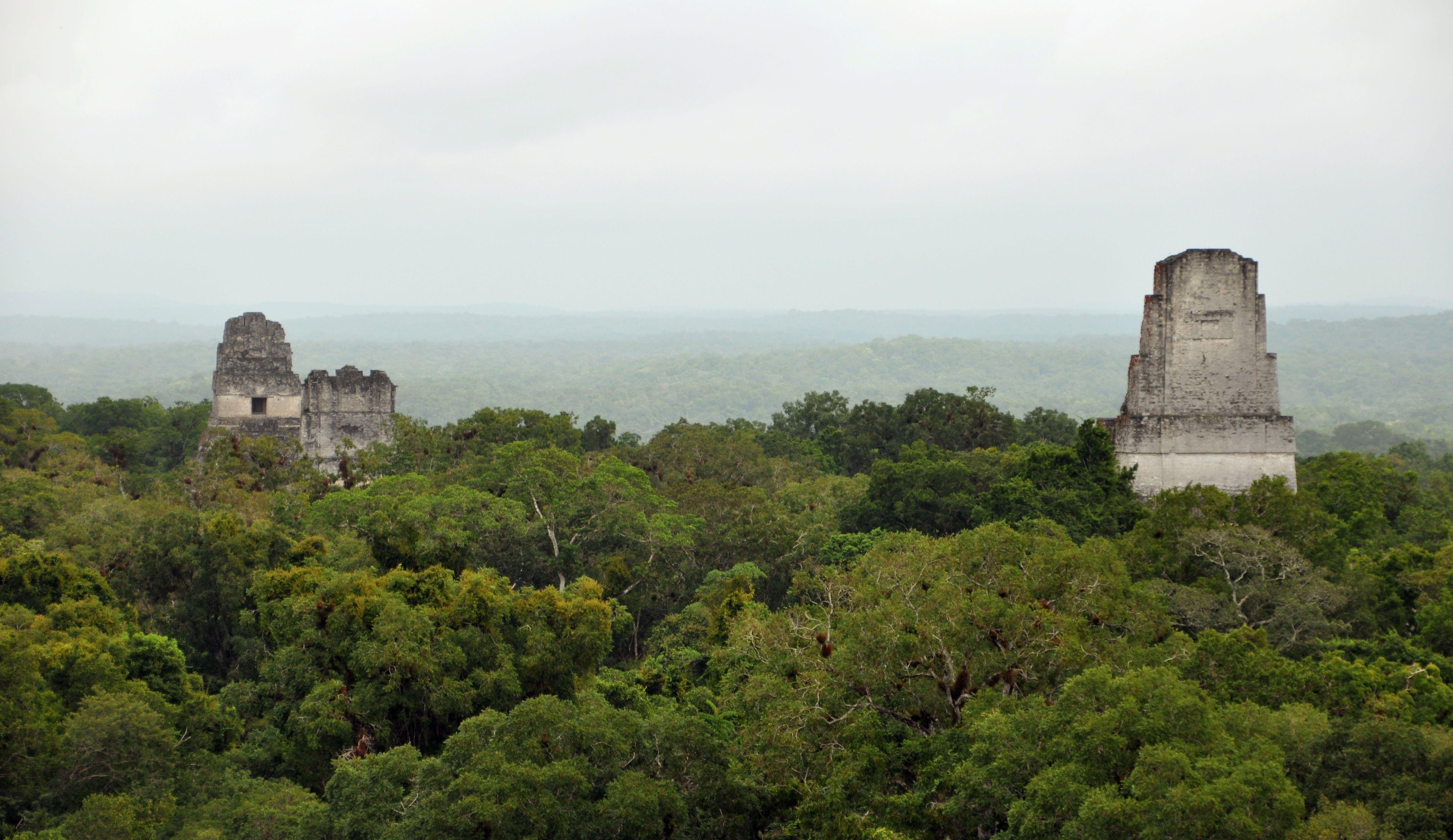 4288x2480 Tikal National Park .